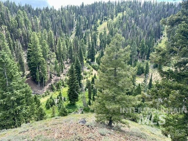 Carrie Creek Rd. Smokey Mountains, Fairfield, Idaho 83327, Land For Sale, Price $895,000, 99000720