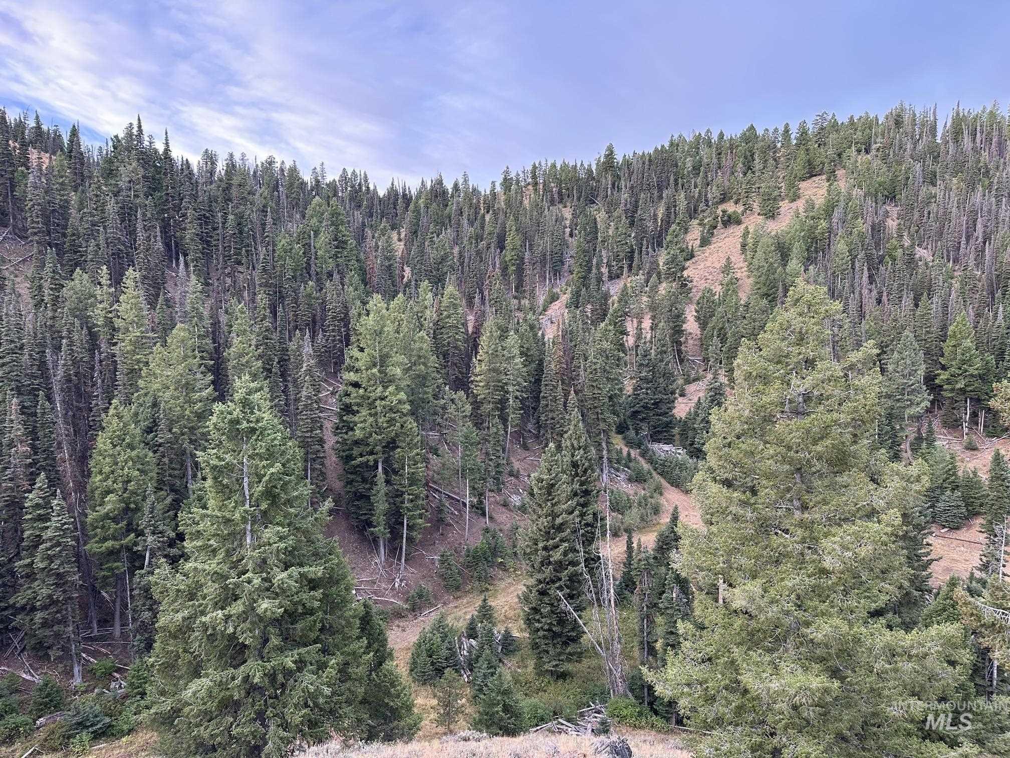 Carrie Creek Rd. Smokey Mountains, Fairfield, Idaho 83327, Land For Sale, Price $895,000, 99000720
