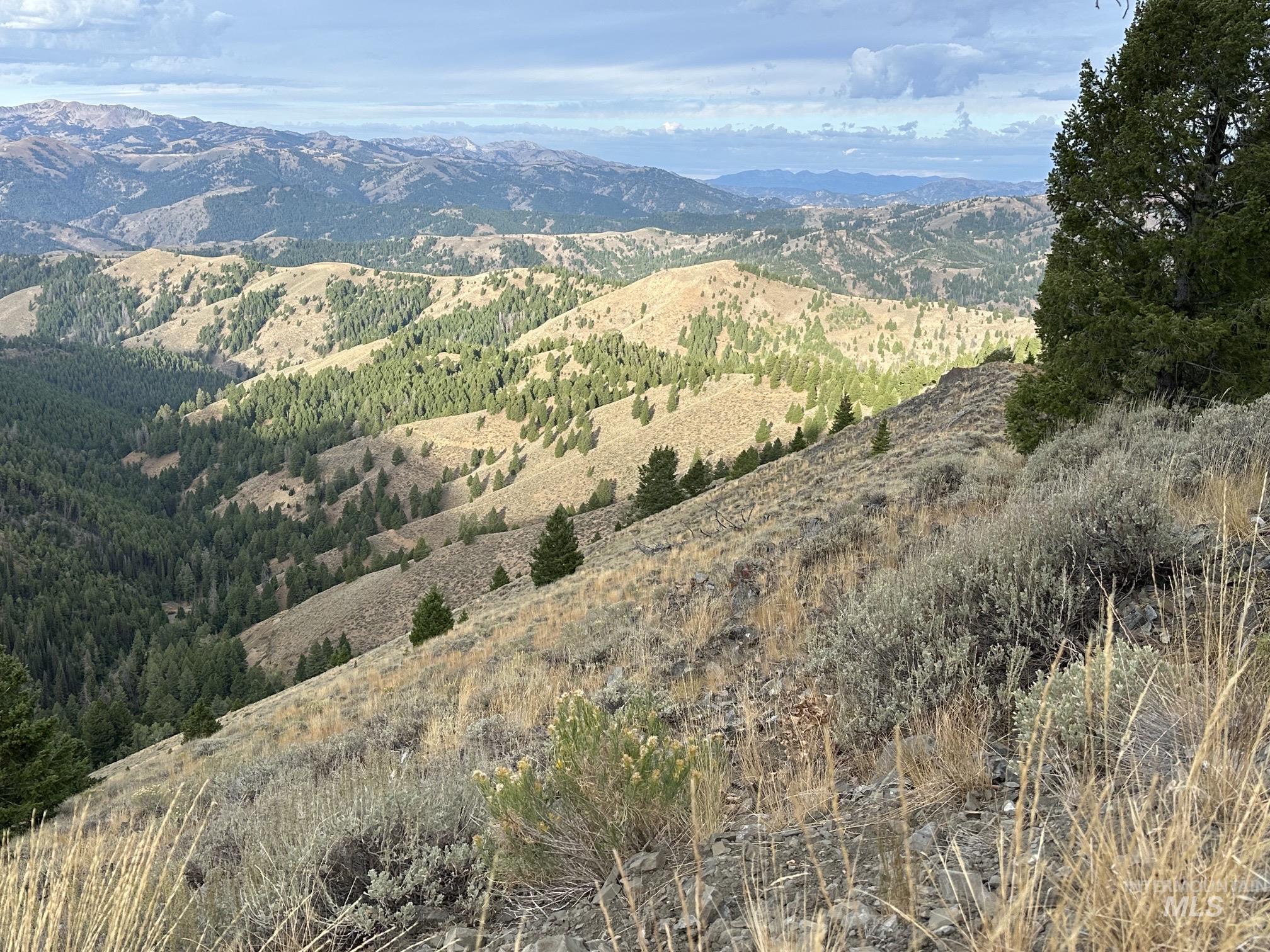 Carrie Creek Rd. Smokey Mountains, Fairfield, Idaho 83327, Land For Sale, Price $895,000, 99000720