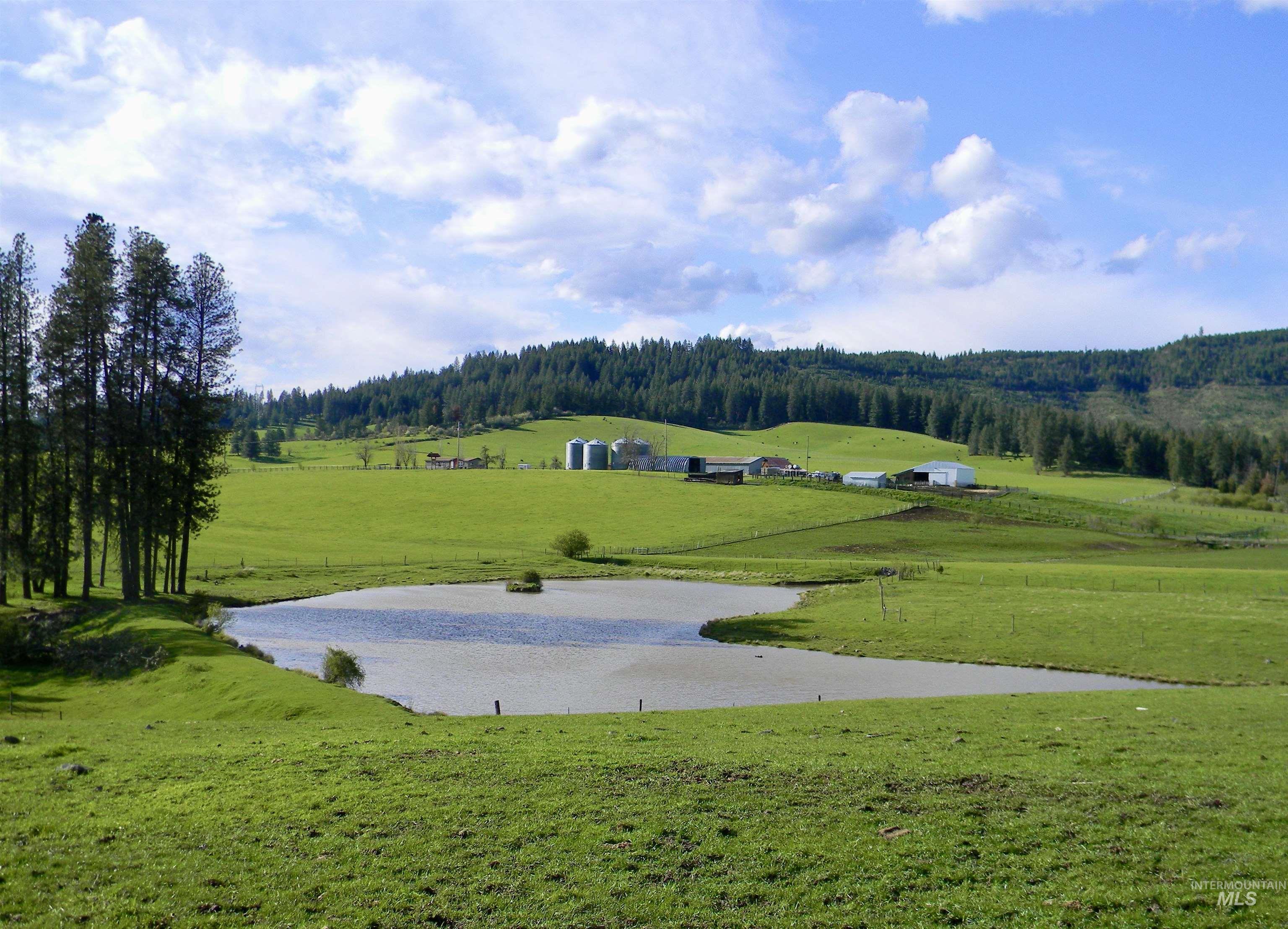 2000 Park Rd., Deary, Idaho 83823, 3 Bedrooms, 2 Bathrooms, Farm & Ranch For Sale, Price $7,400,000,MLS 99000737