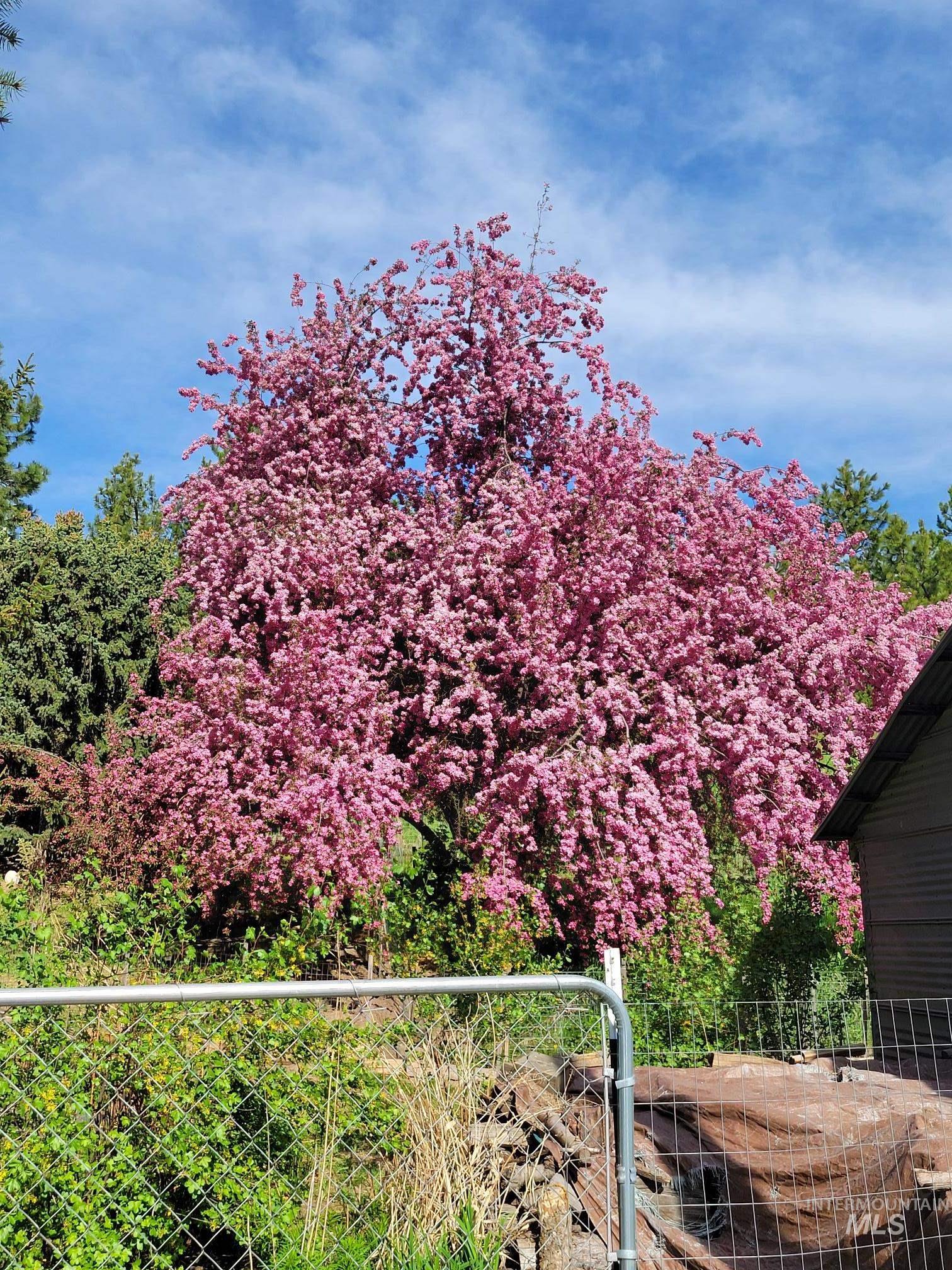 1177 Teare Rd, Moscow, Idaho 83843, 3 Bedrooms, 2 Bathrooms, Residential For Sale, Price $549,000,MLS 99000775