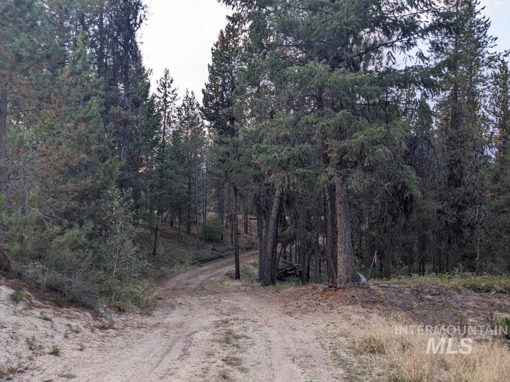 175 Pointes Rd, Cascade, Idaho 83611, Land For Sale, Price $499,990,MLS 99000814