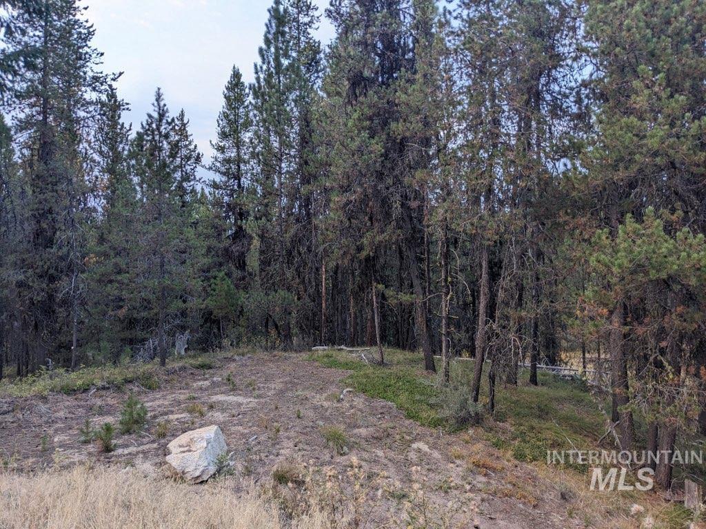 175 Pointes Rd, Cascade, Idaho 83611, Land For Sale, Price $499,990,MLS 99000814
