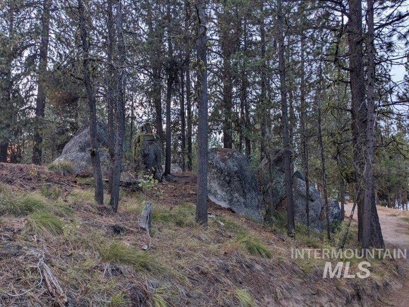 175 Pointes Rd, Cascade, Idaho 83611, Land For Sale, Price $499,990,MLS 99000814