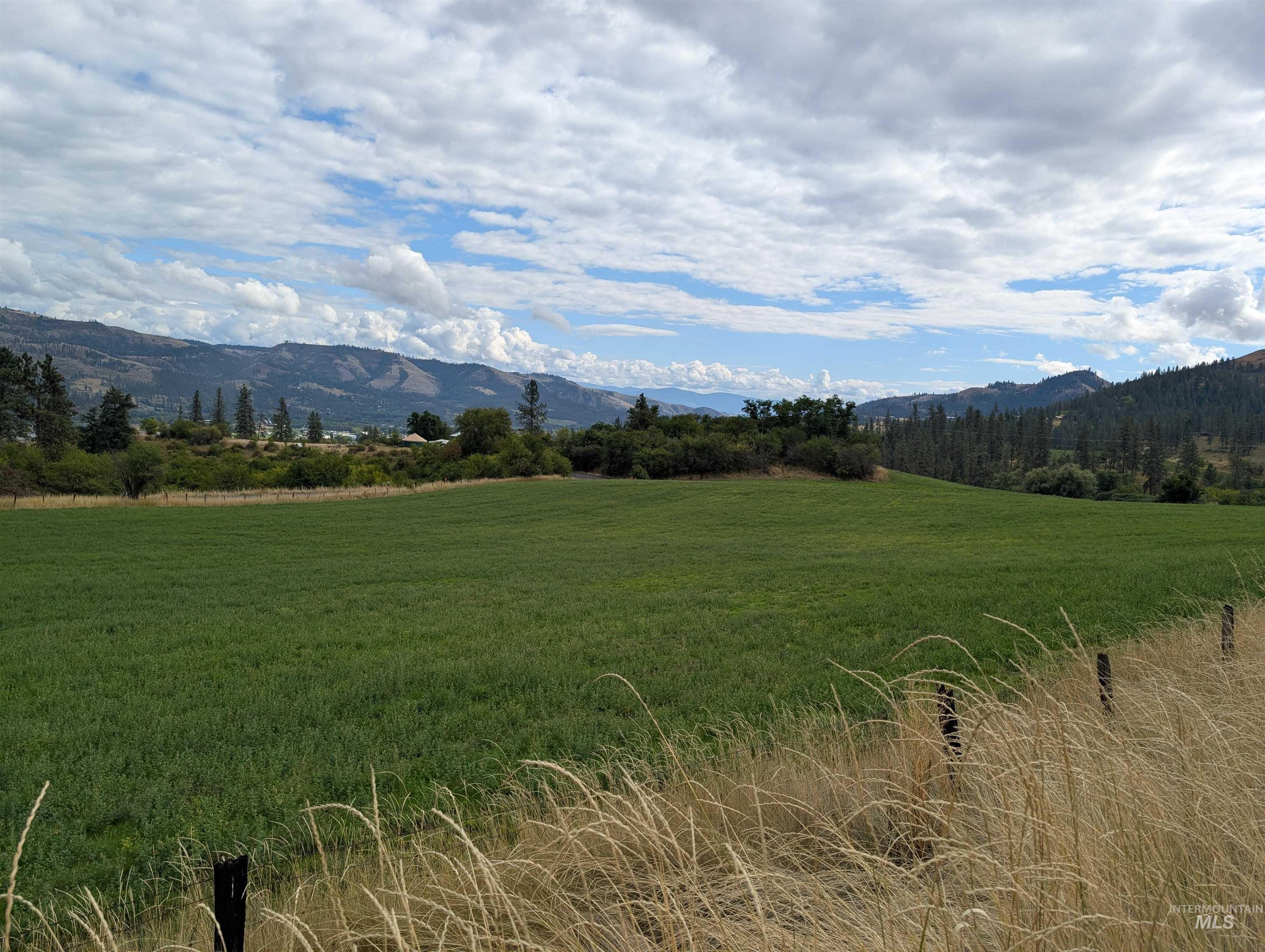 000 Hwy 64, Kamiah, Idaho 83536, Land For Sale, Price $220,000,MLS 99000883