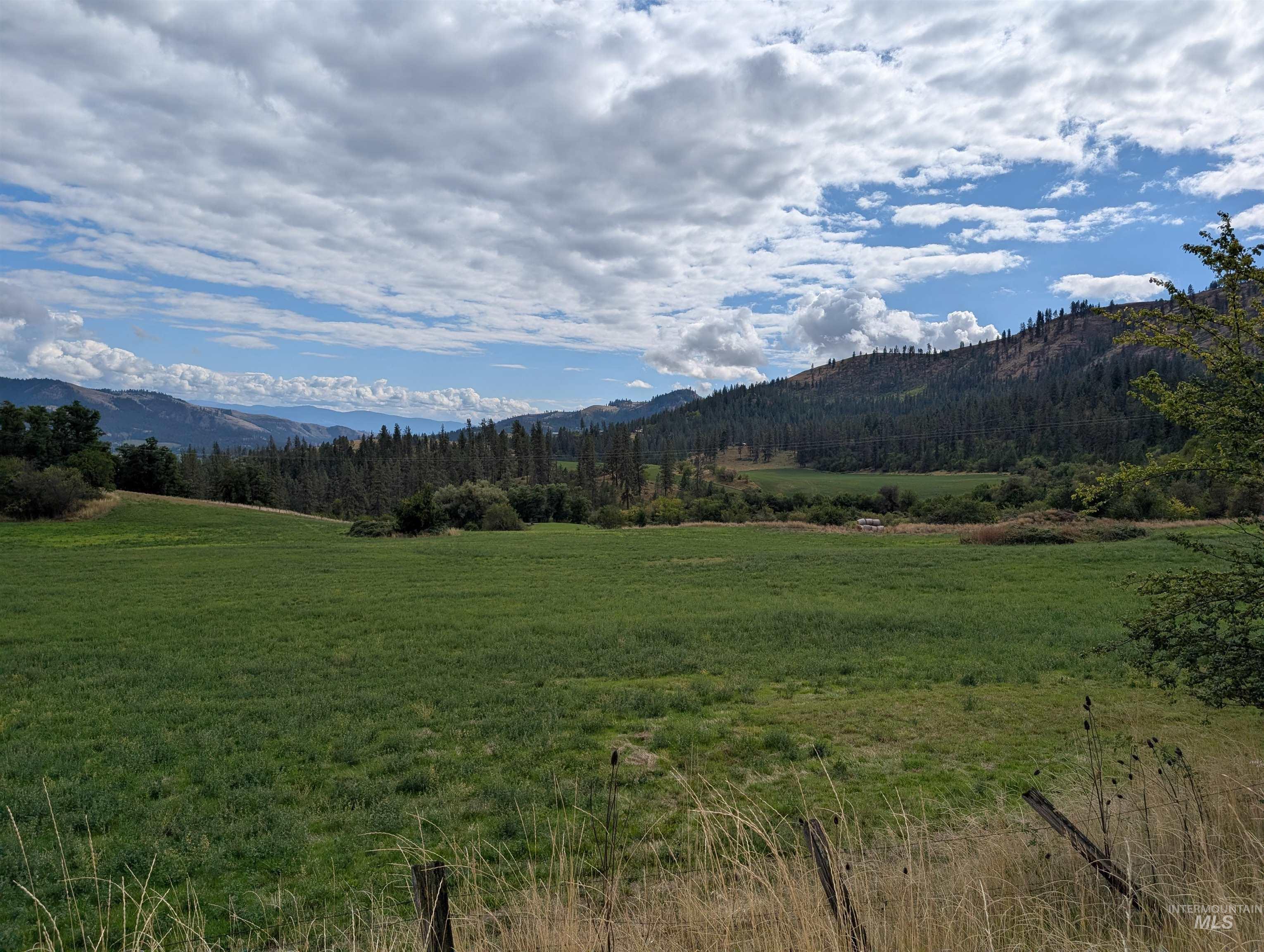 000 Hwy 64, Kamiah, Idaho 83536, Land For Sale, Price $220,000,MLS 99000883