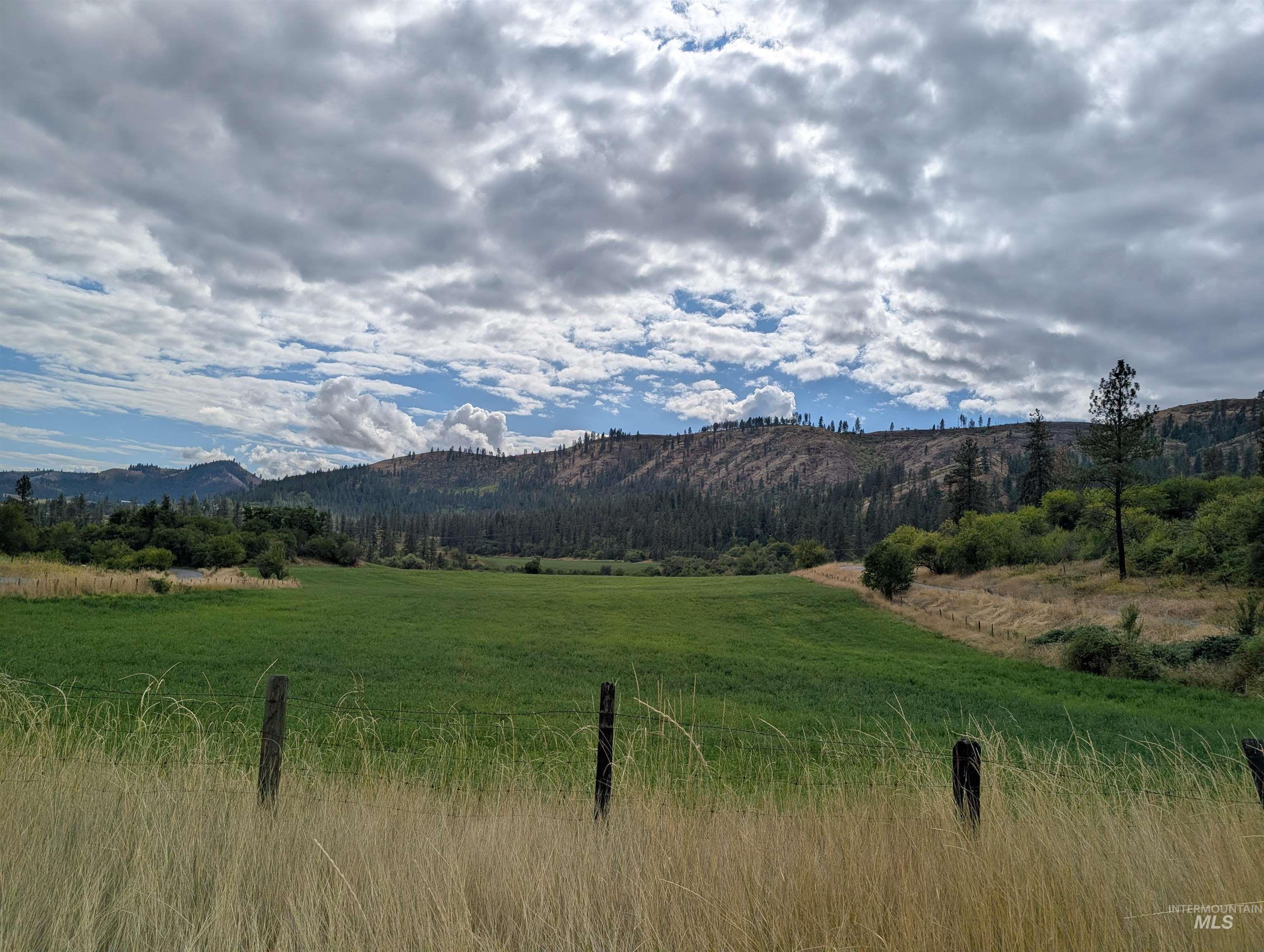 000 Hwy 64, Kamiah, Idaho 83536, Land For Sale, Price $220,000,MLS 99000883