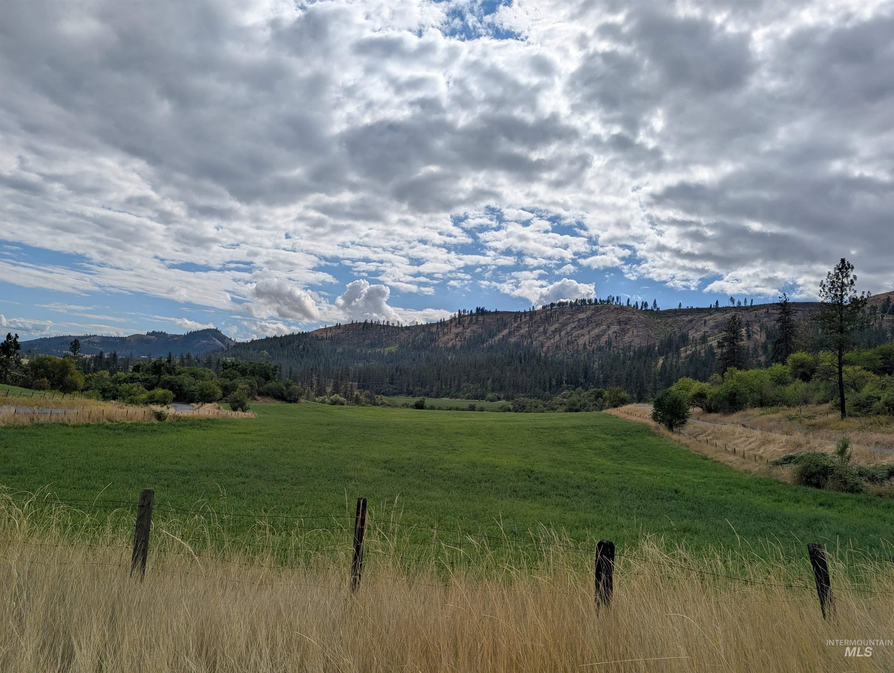 000 Hwy 64, Kamiah, Idaho 83536, Land For Sale, Price $220,000,MLS 99000883