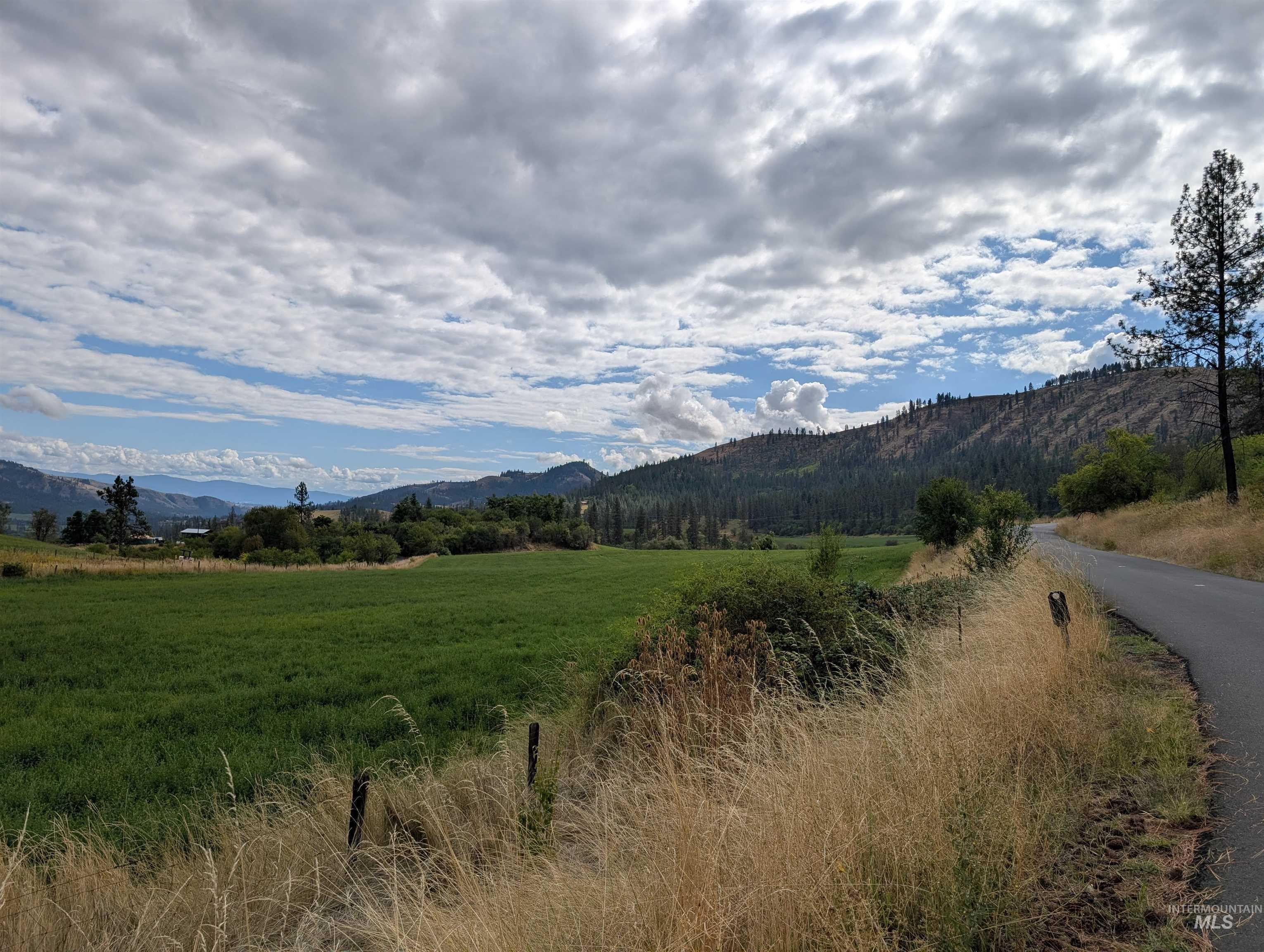 000 Hwy 64, Kamiah, Idaho 83536, Land For Sale, Price $220,000,MLS 99000883