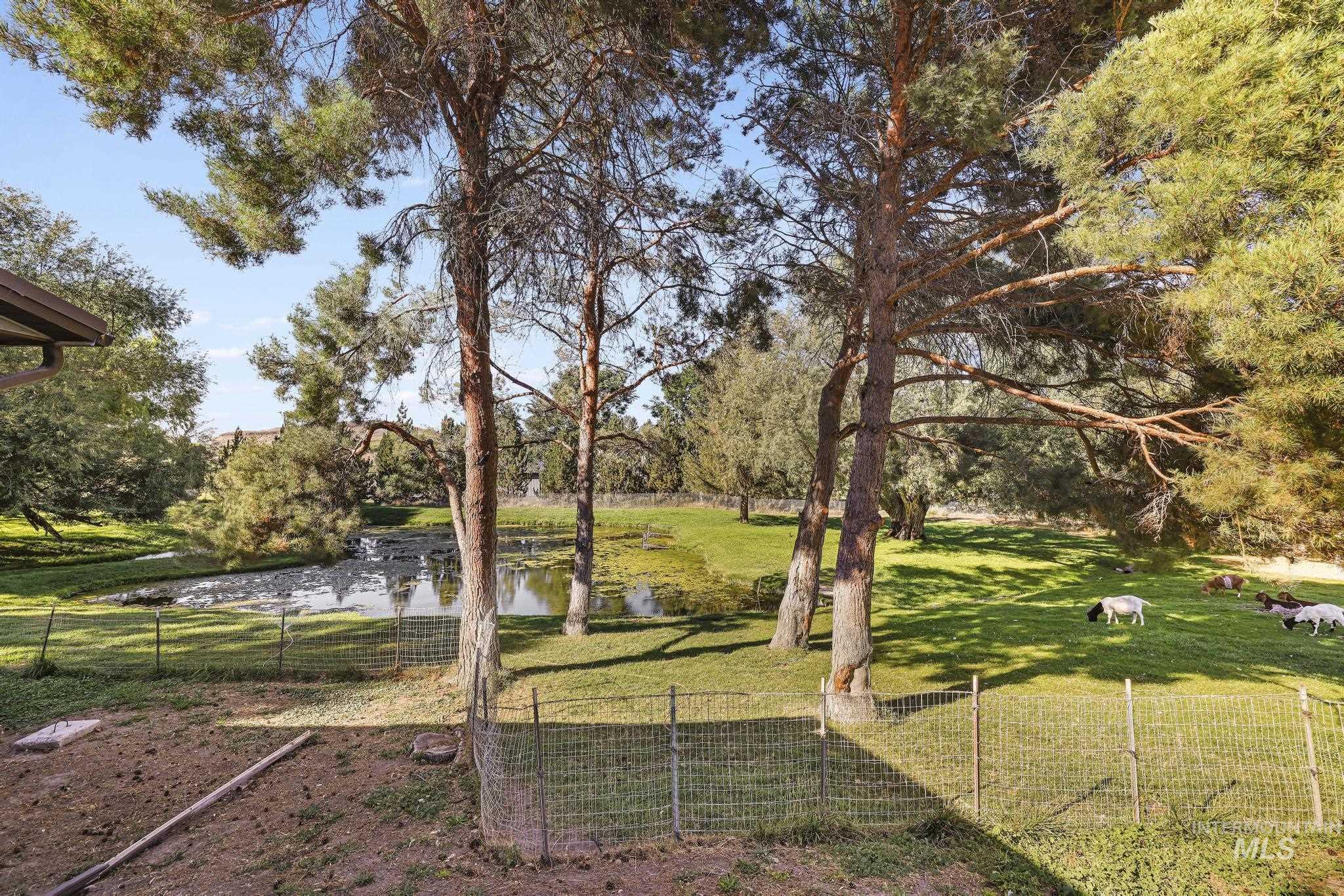 4796 River Rd, Buhl, Idaho 83316, 5 Bedrooms, 2 Bathrooms, Residential For Sale, Price $540,000,MLS 99001016