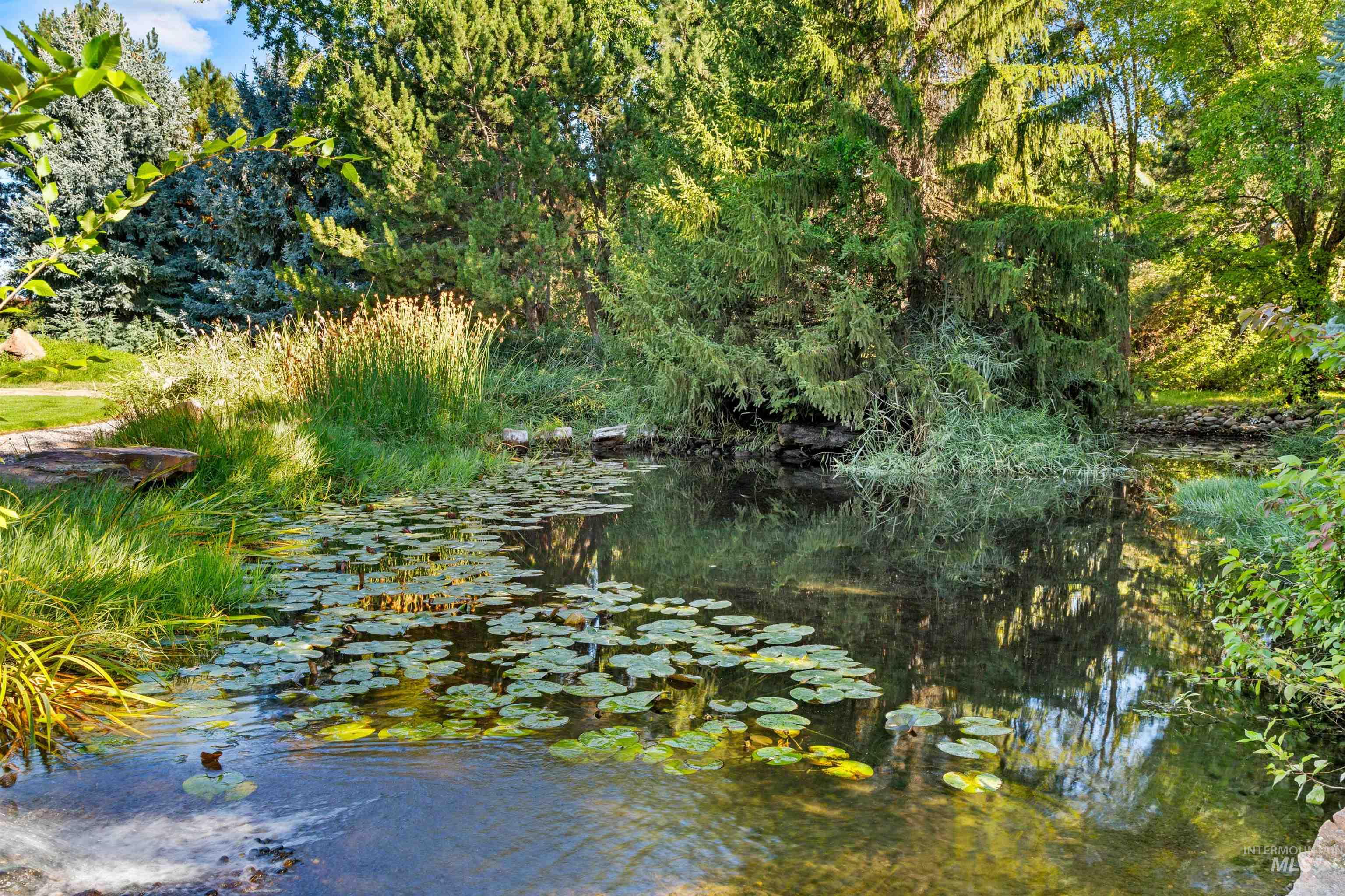 2985 N Holl Drive, Eagle, Idaho 83616, 3 Bedrooms, 3.5 Bathrooms, Residential For Sale, Price $3,000,000,MLS 99001024