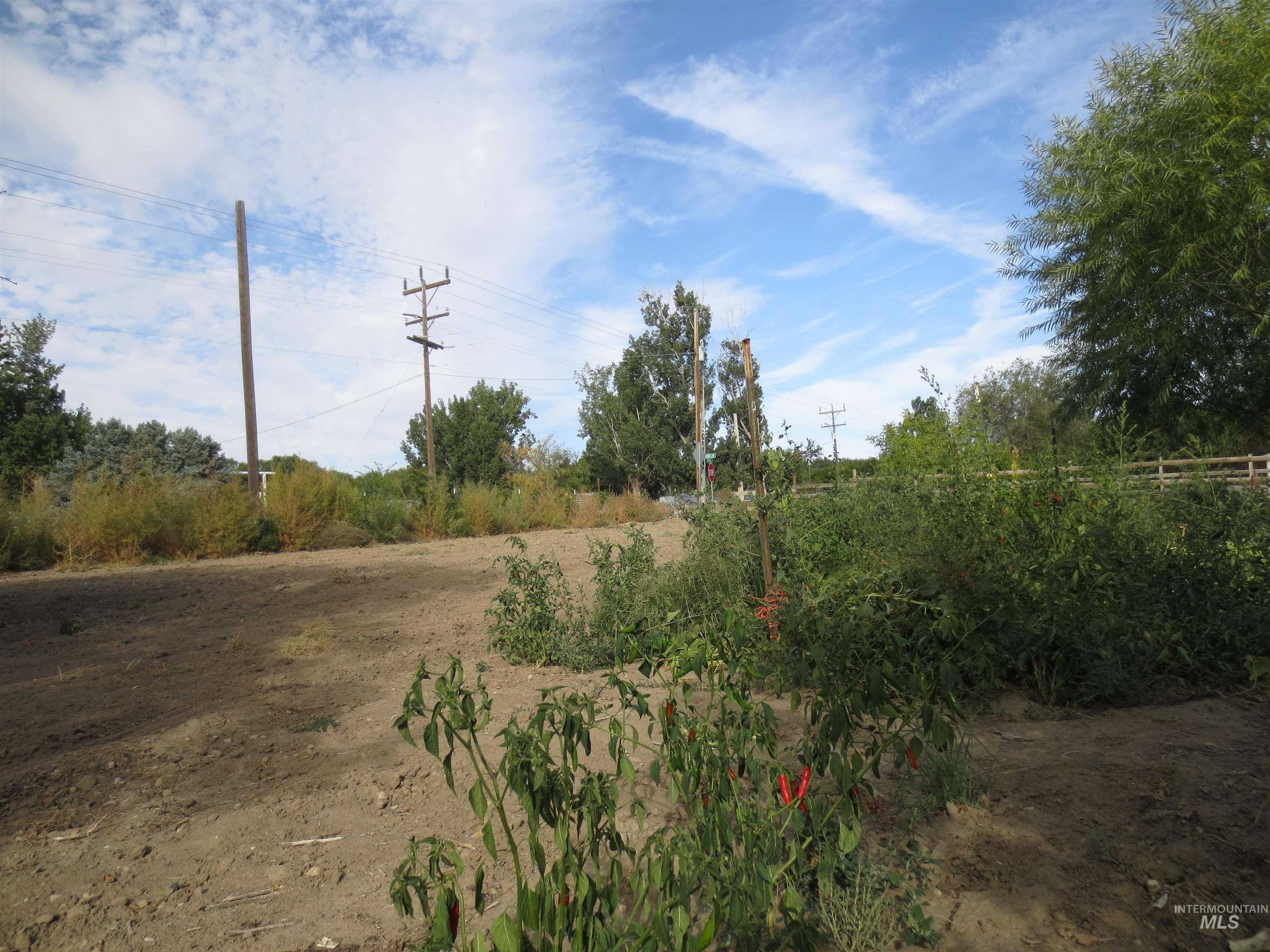 31977 Nob Lane, Parma, Idaho 83660, 3 Bedrooms, 2 Bathrooms, Residential For Sale, Price $355,000,MLS 99001030