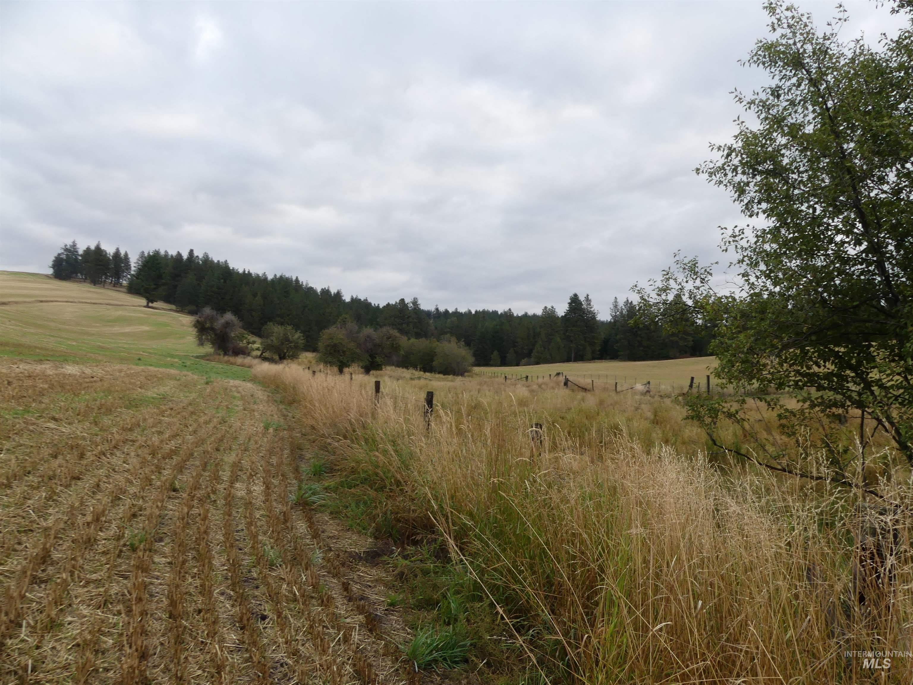 1385 Cottonwood Butte RD, CottonWood, Idaho 83522, Land For Sale, Price $485,000, 99001188