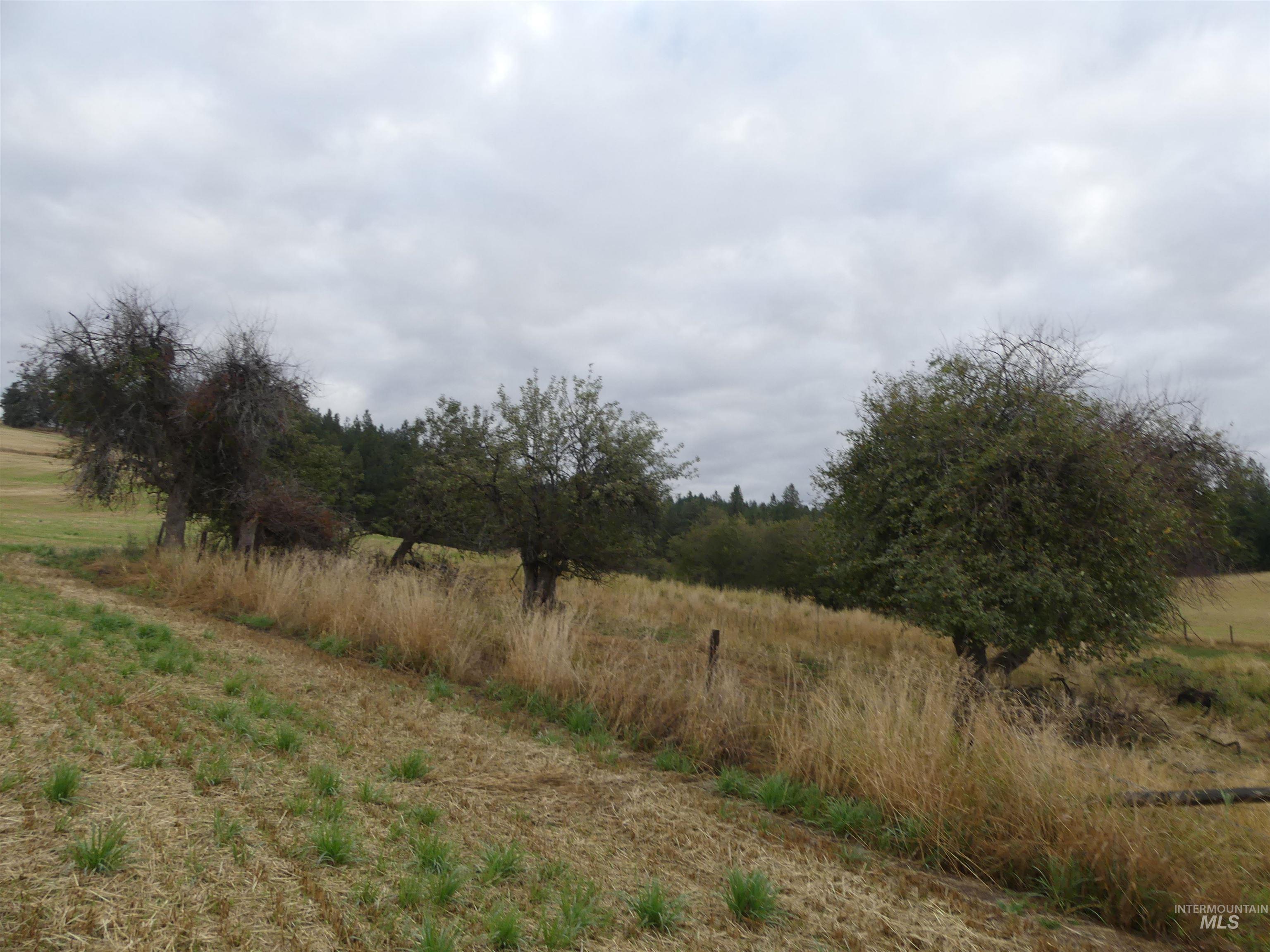 1385 Cottonwood Butte RD, CottonWood, Idaho 83522, Land For Sale, Price $485,000, 99001188