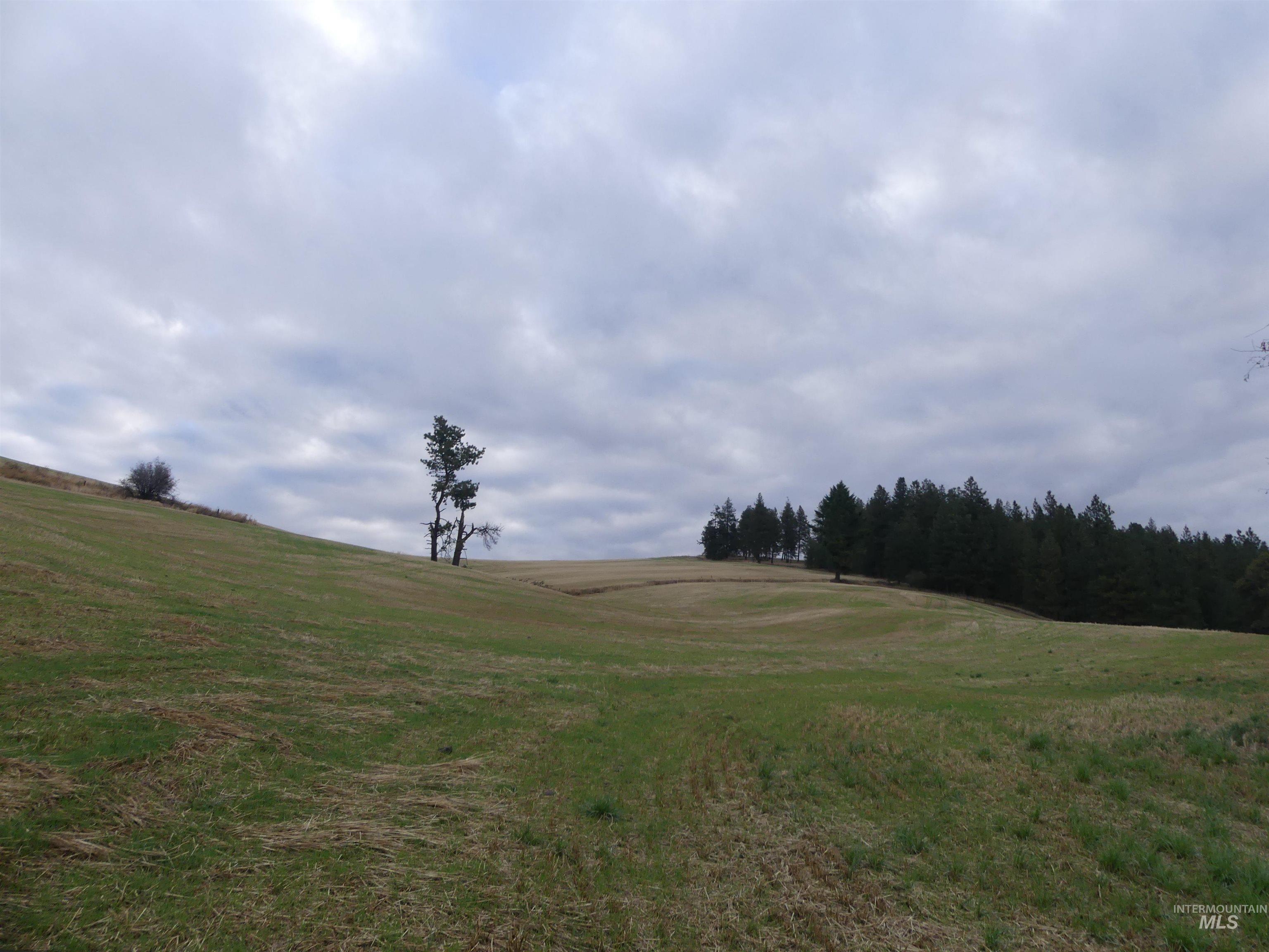 1385 Cottonwood Butte RD, CottonWood, Idaho 83522, Land For Sale, Price $485,000, 99001188