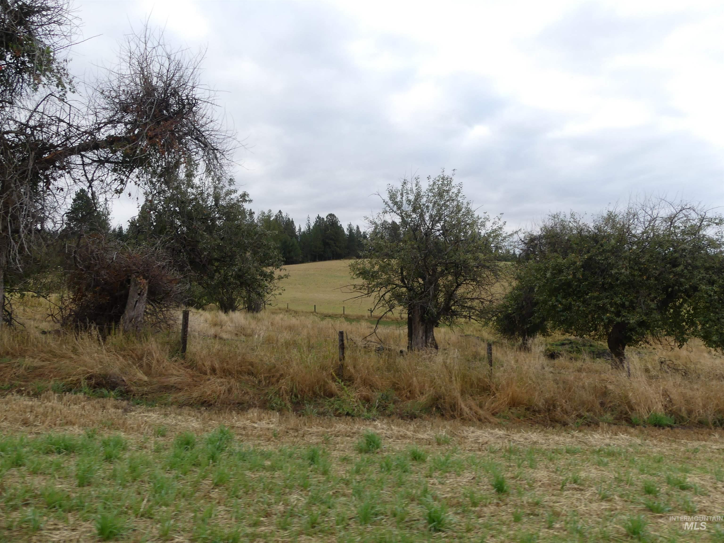 1385 Cottonwood Butte RD, CottonWood, Idaho 83522, Land For Sale, Price $485,000, 99001188