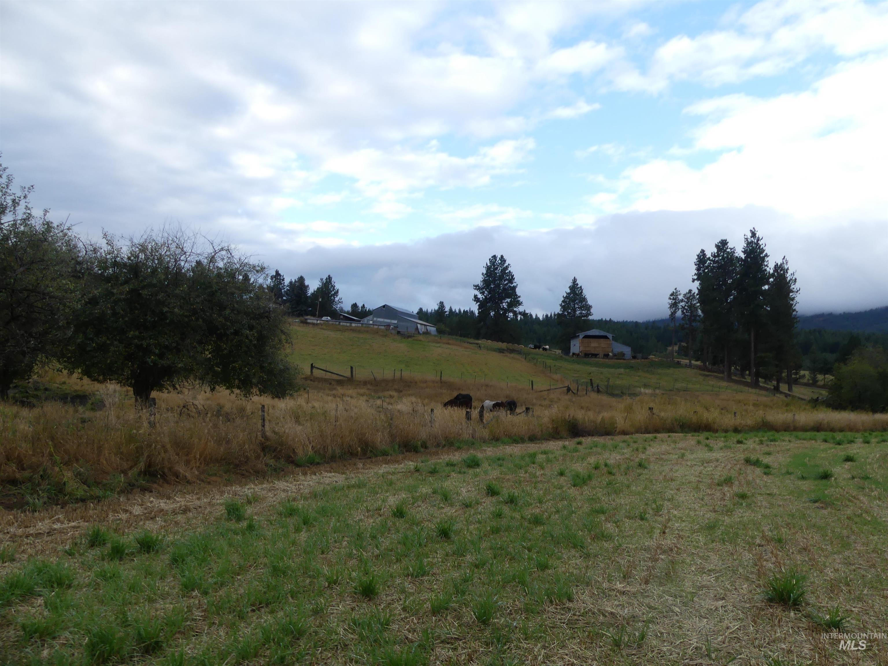 1385 Cottonwood Butte RD, CottonWood, Idaho 83522, Land For Sale, Price $485,000, 99001188