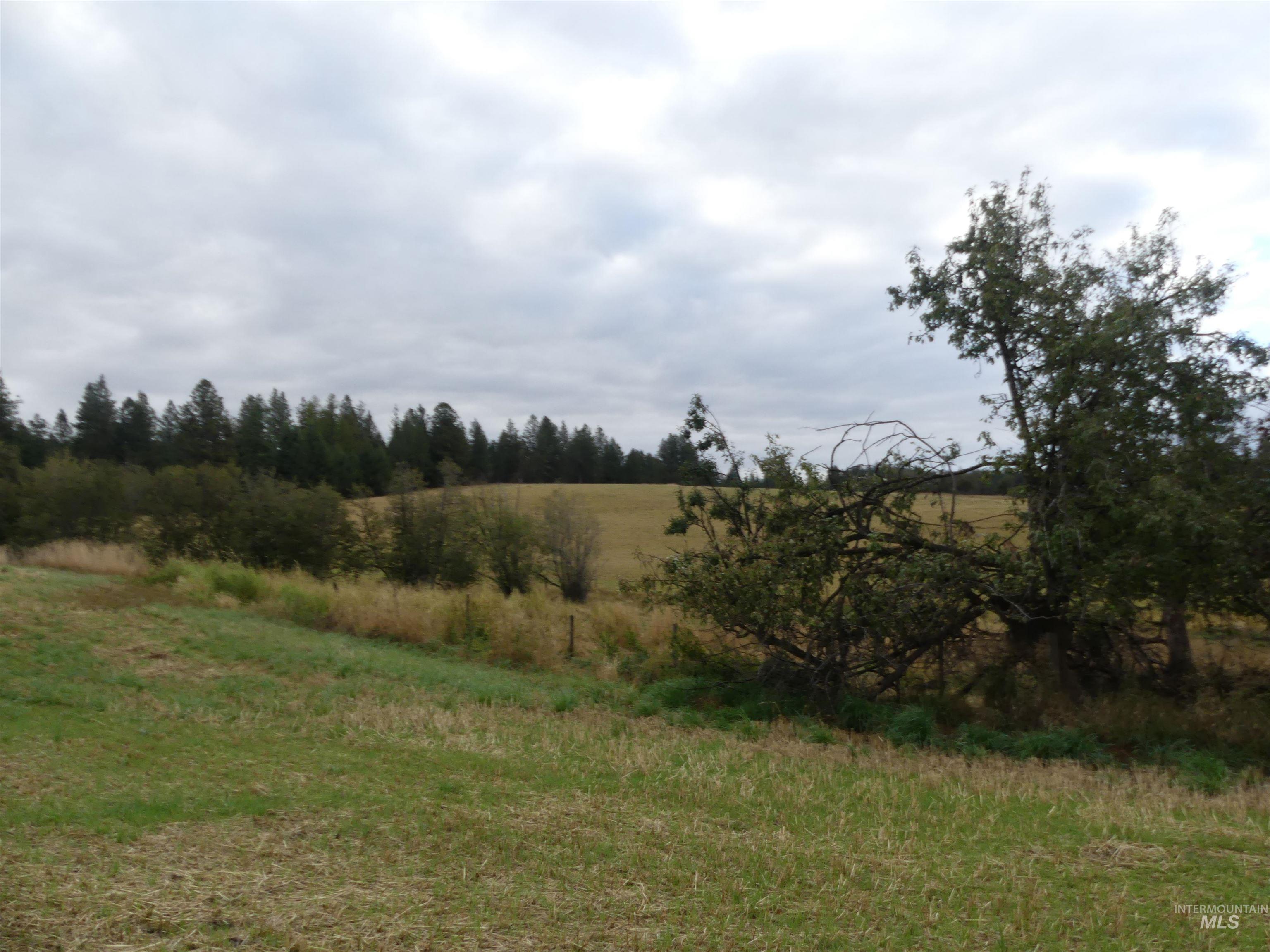 1385 Cottonwood Butte RD, CottonWood, Idaho 83522, Land For Sale, Price $485,000, 99001188