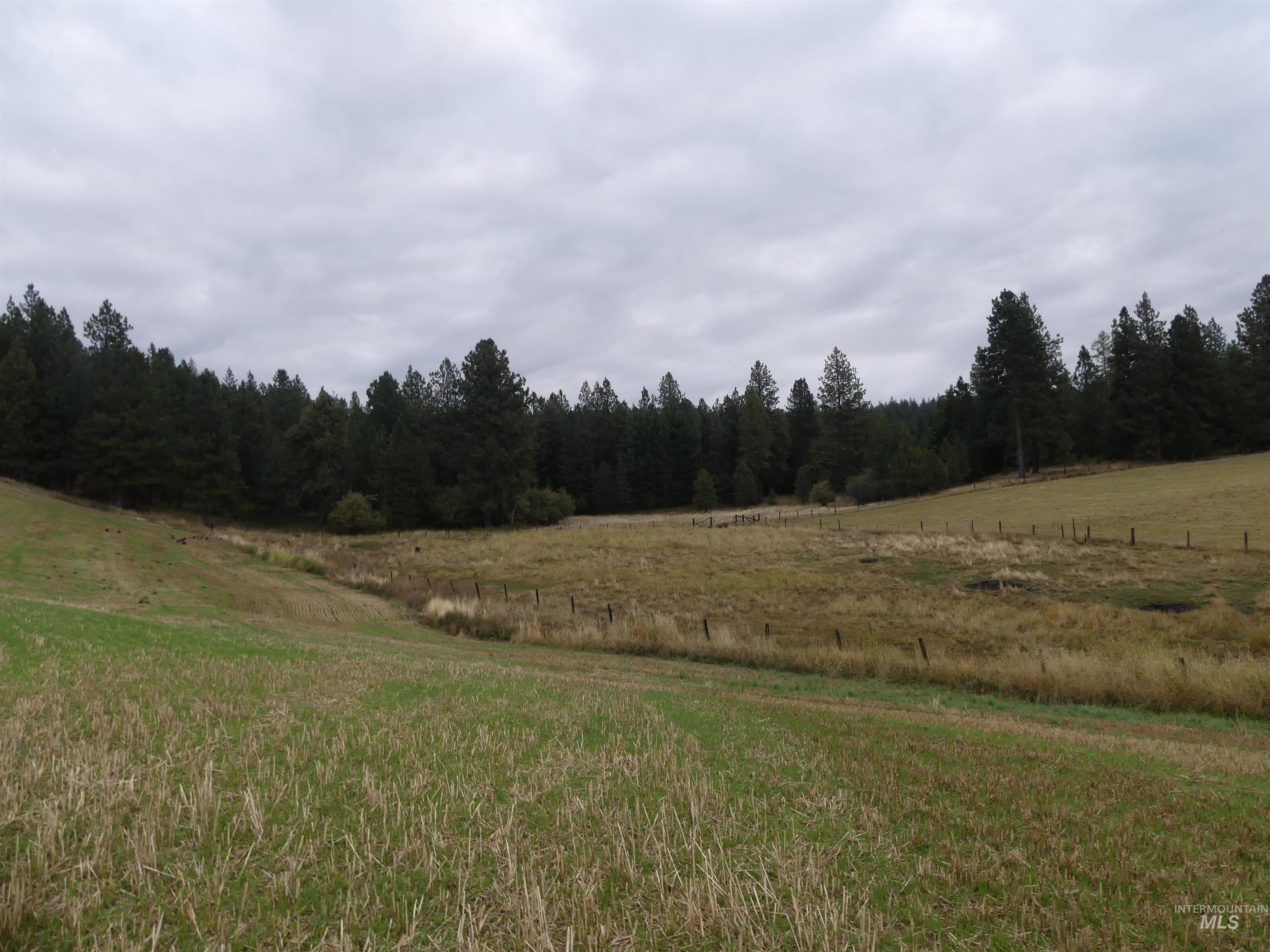 1385 Cottonwood Butte RD, CottonWood, Idaho 83522, Land For Sale, Price $485,000, 99001188
