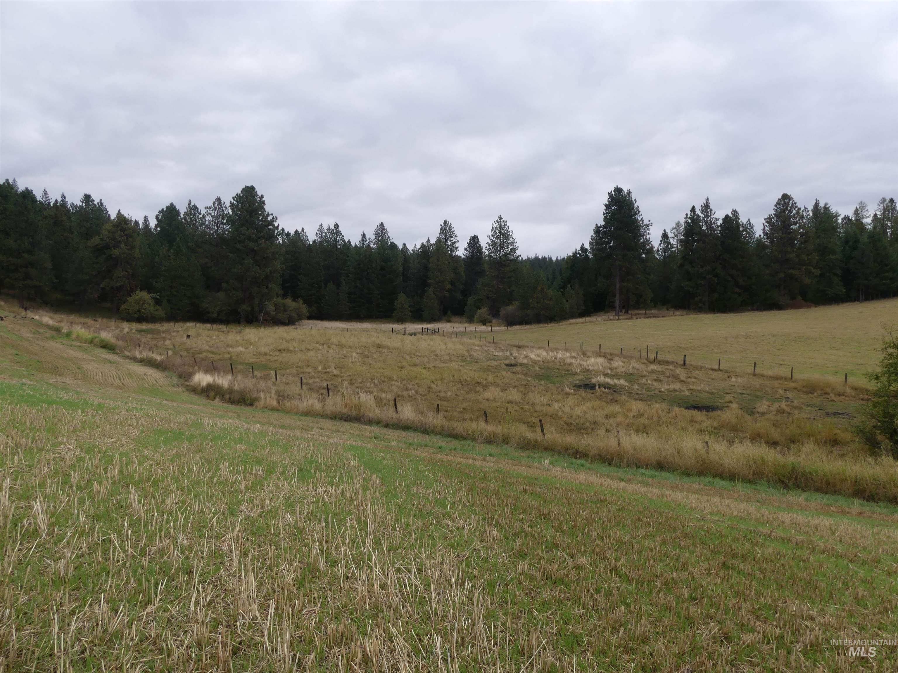 1385 Cottonwood Butte RD, CottonWood, Idaho 83522, Land For Sale, Price $485,000, 99001188