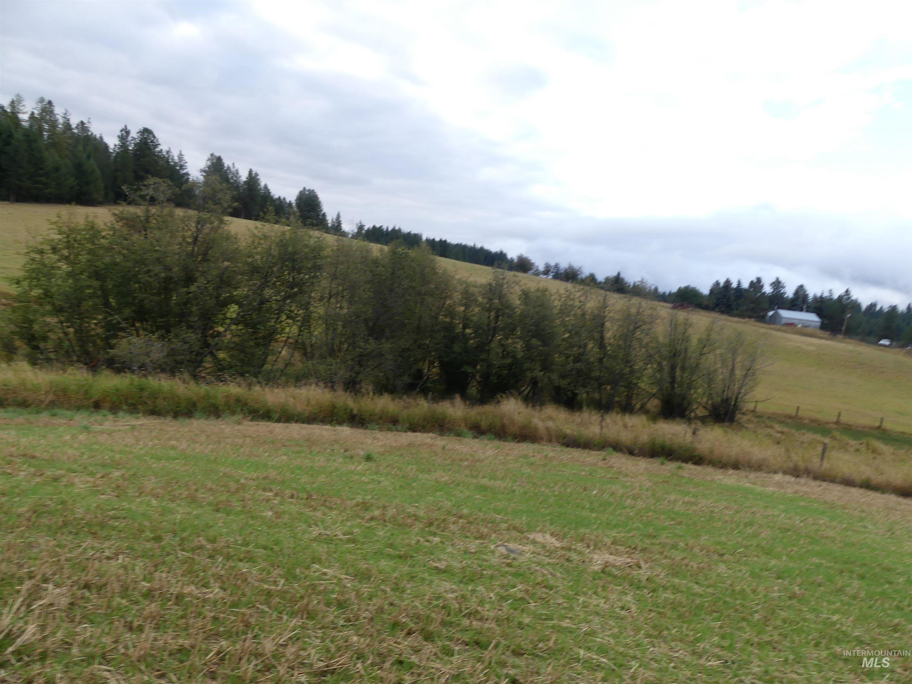 1385 Cottonwood Butte RD, CottonWood, Idaho 83522, Land For Sale, Price $485,000, 99001188