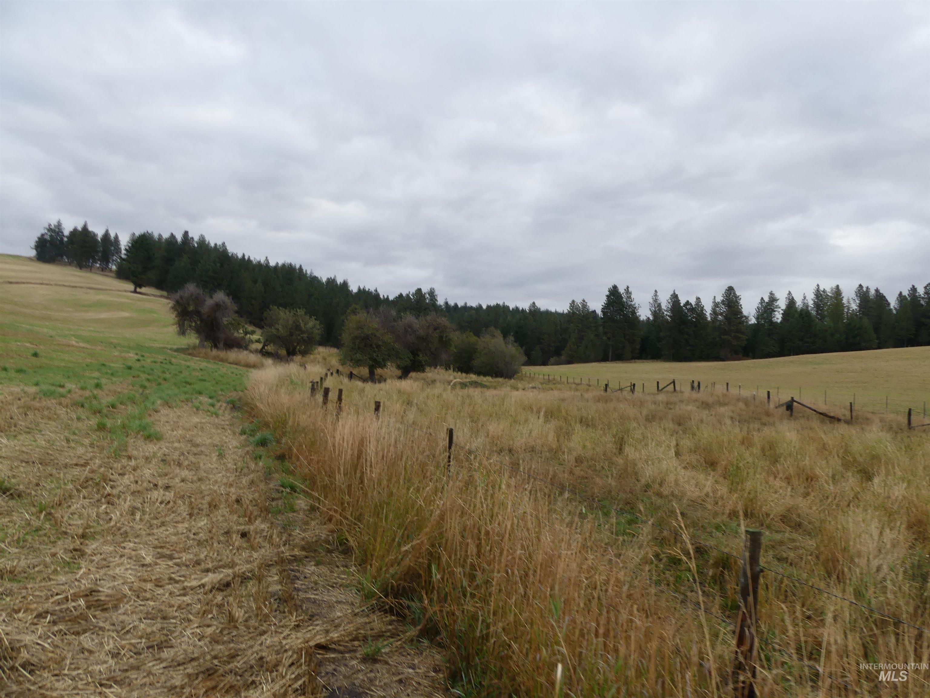 1385 Cottonwood Butte RD, CottonWood, Idaho 83522, Land For Sale, Price $485,000, 99001188