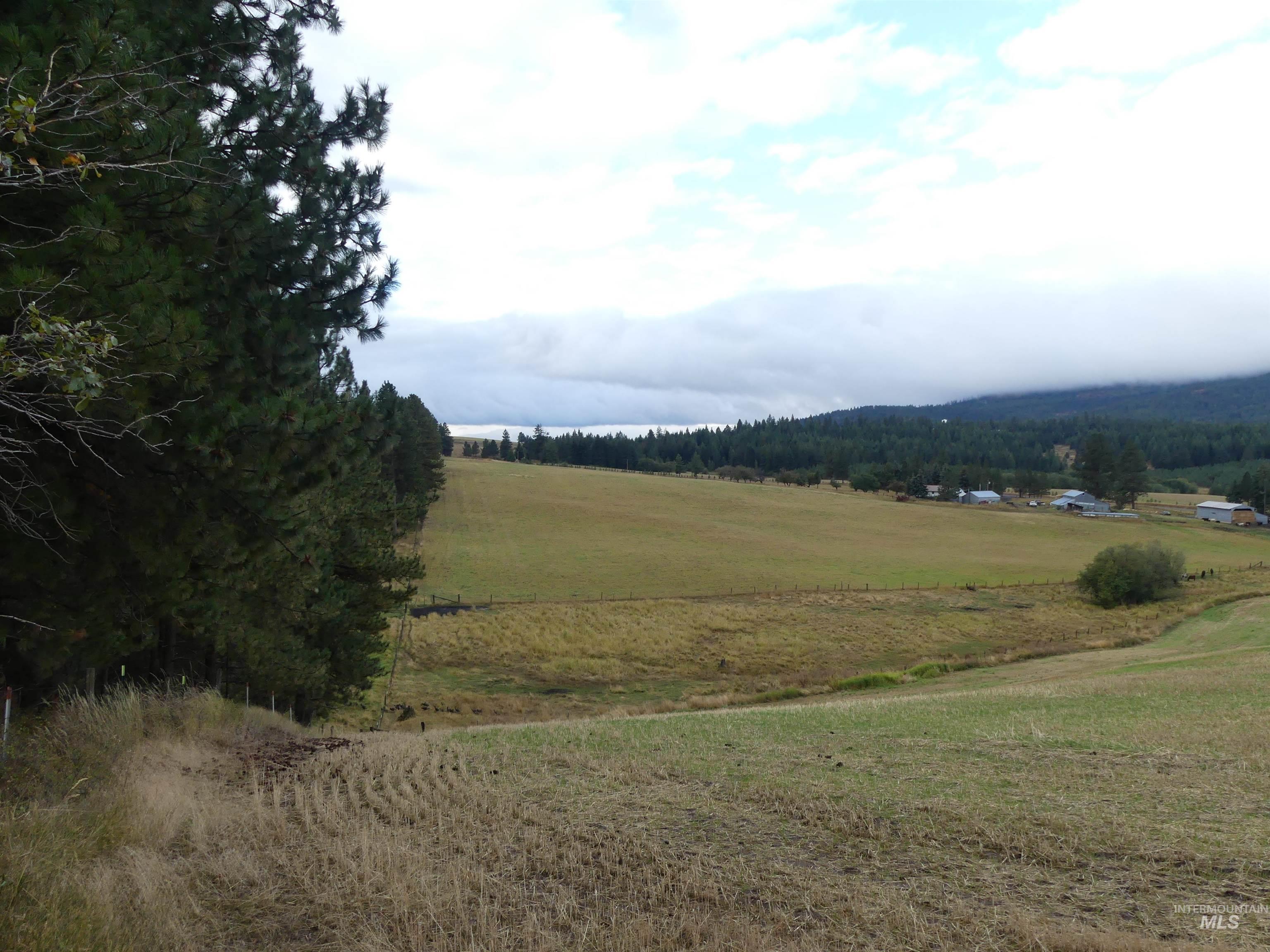 1385 Cottonwood Butte RD, CottonWood, Idaho 83522, Land For Sale, Price $485,000, 99001188