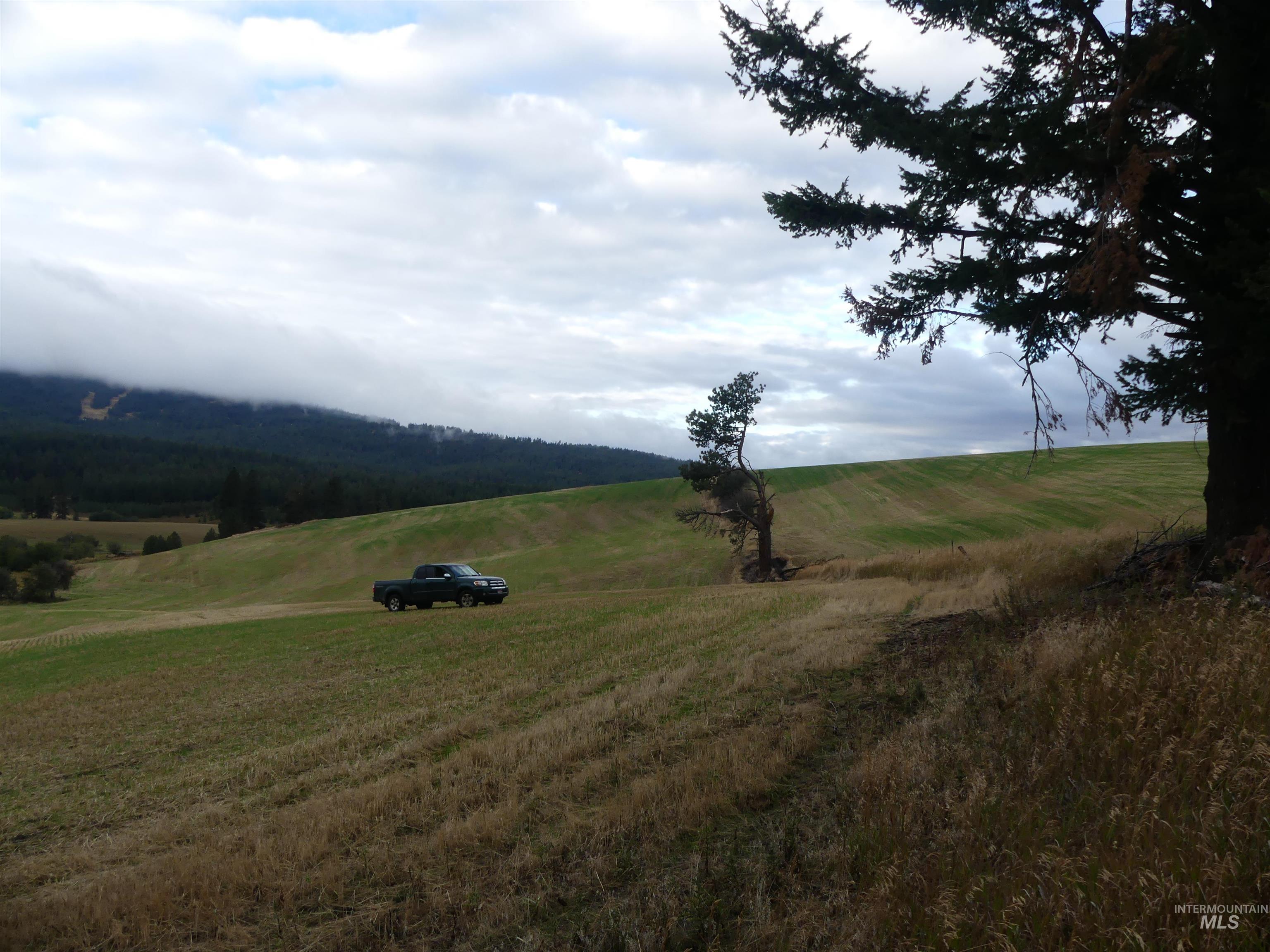 1385 Cottonwood Butte RD, CottonWood, Idaho 83522, Land For Sale, Price $485,000, 99001188