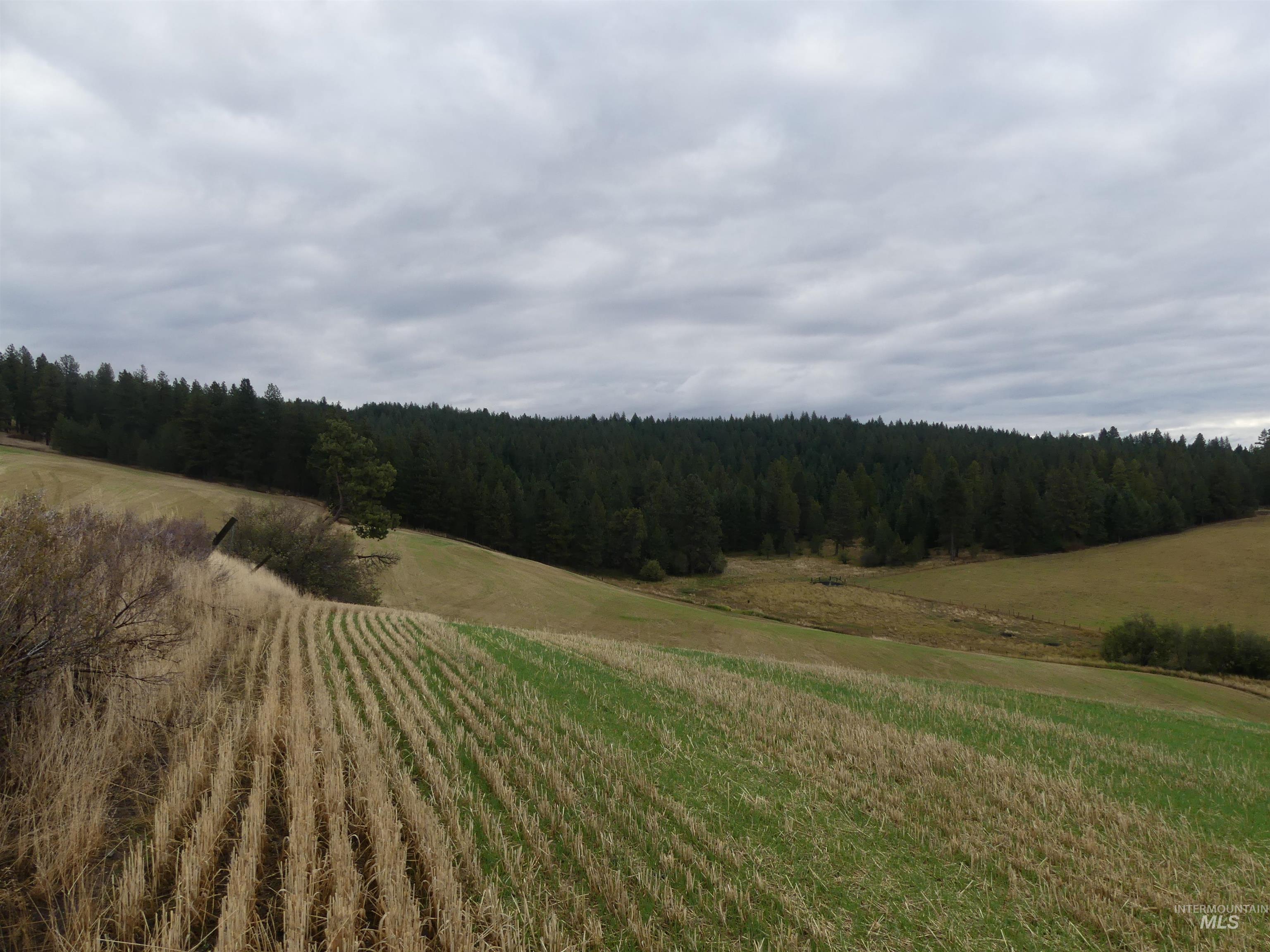 1385 Cottonwood Butte RD, CottonWood, Idaho 83522, Land For Sale, Price $485,000, 99001188