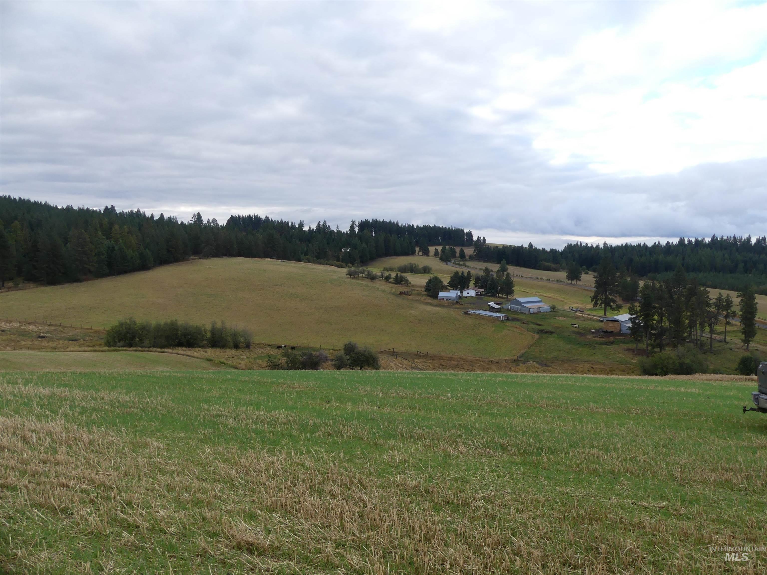 1385 Cottonwood Butte RD, CottonWood, Idaho 83522, Land For Sale, Price $485,000, 99001188