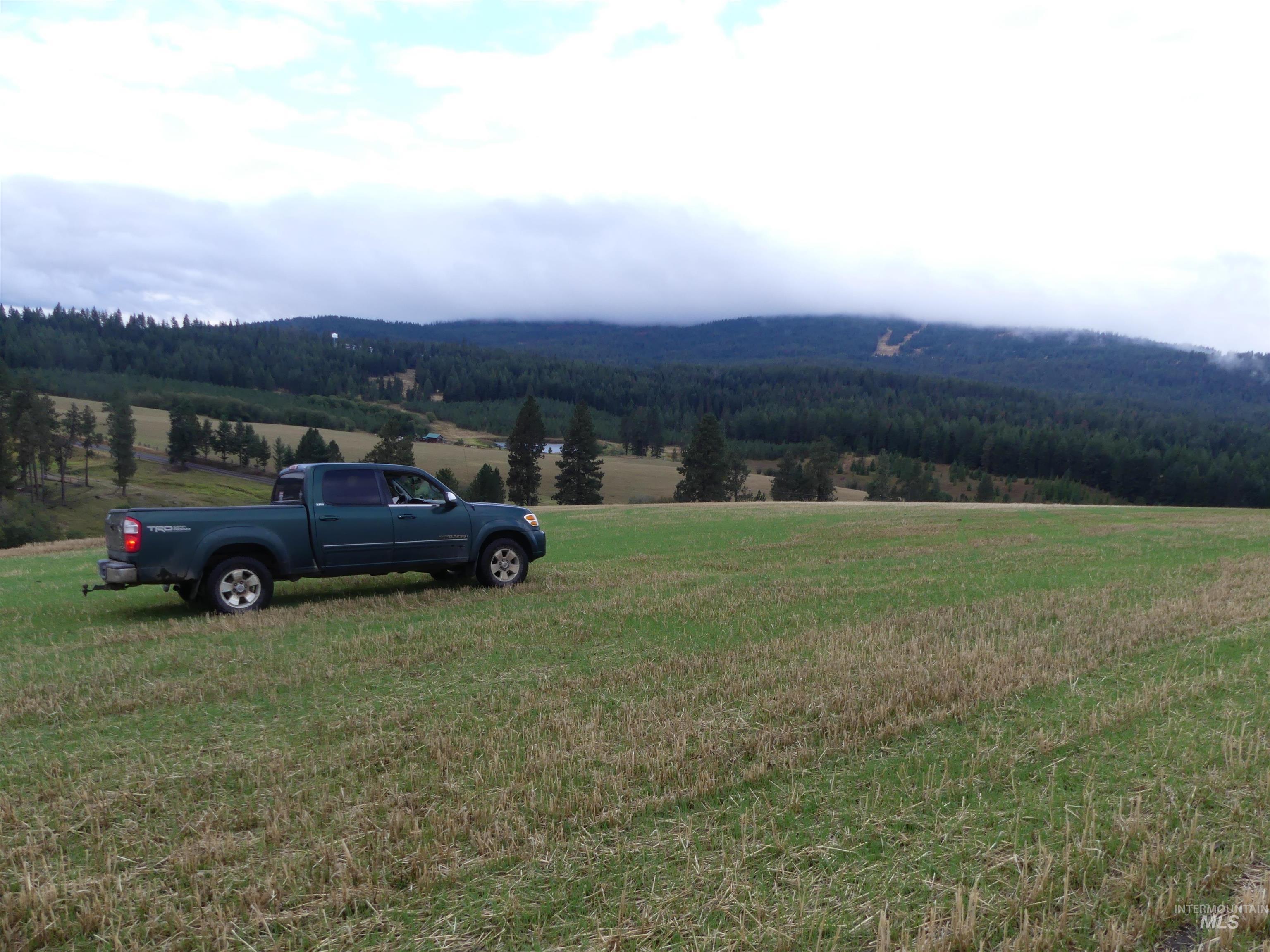 1385 Cottonwood Butte RD, CottonWood, Idaho 83522, Land For Sale, Price $485,000, 99001188