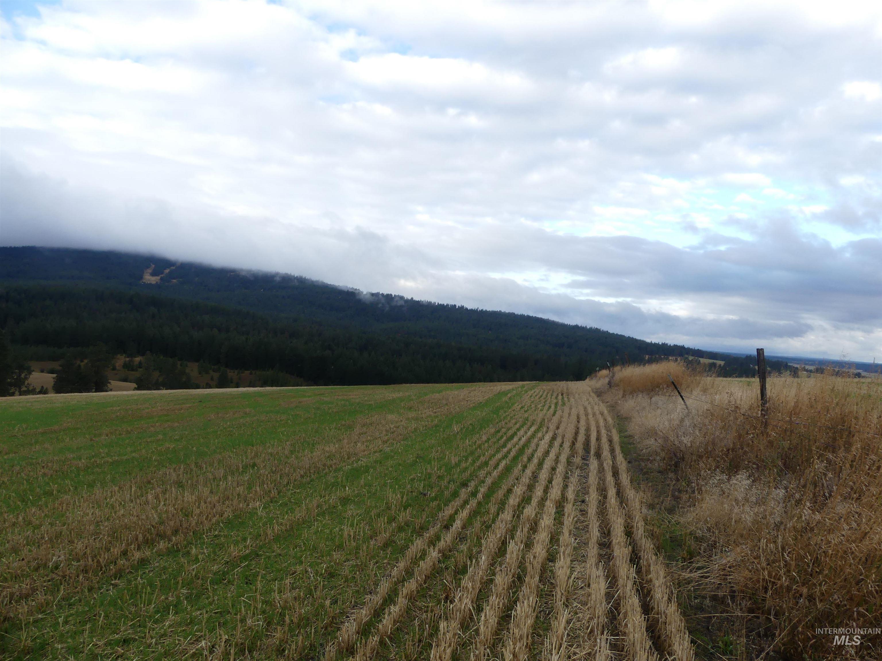 1385 Cottonwood Butte RD, CottonWood, Idaho 83522, Land For Sale, Price $485,000, 99001188