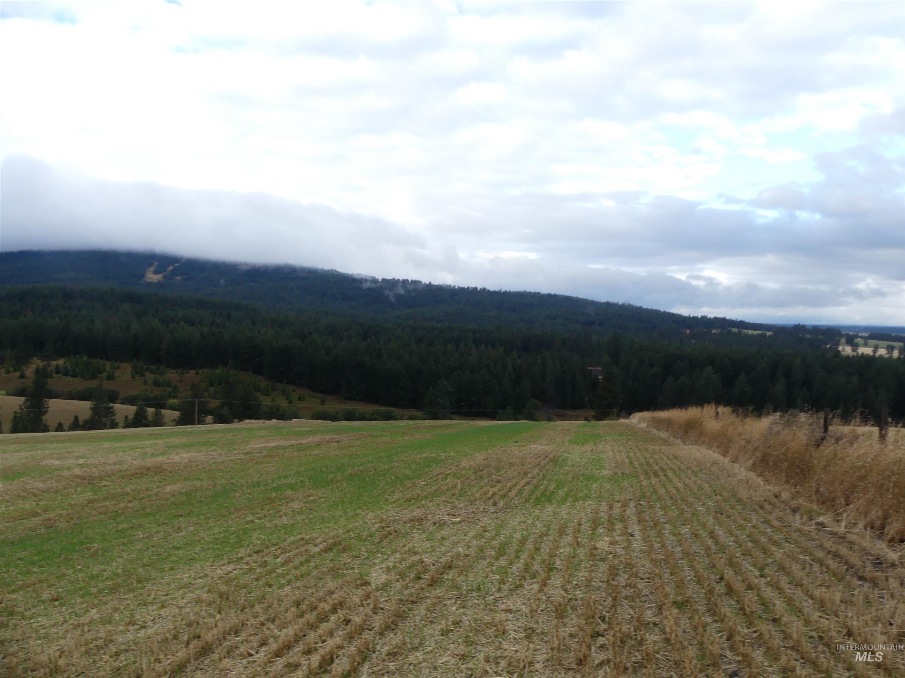 1385 Cottonwood Butte RD, CottonWood, Idaho 83522, Land For Sale, Price $485,000, 99001188