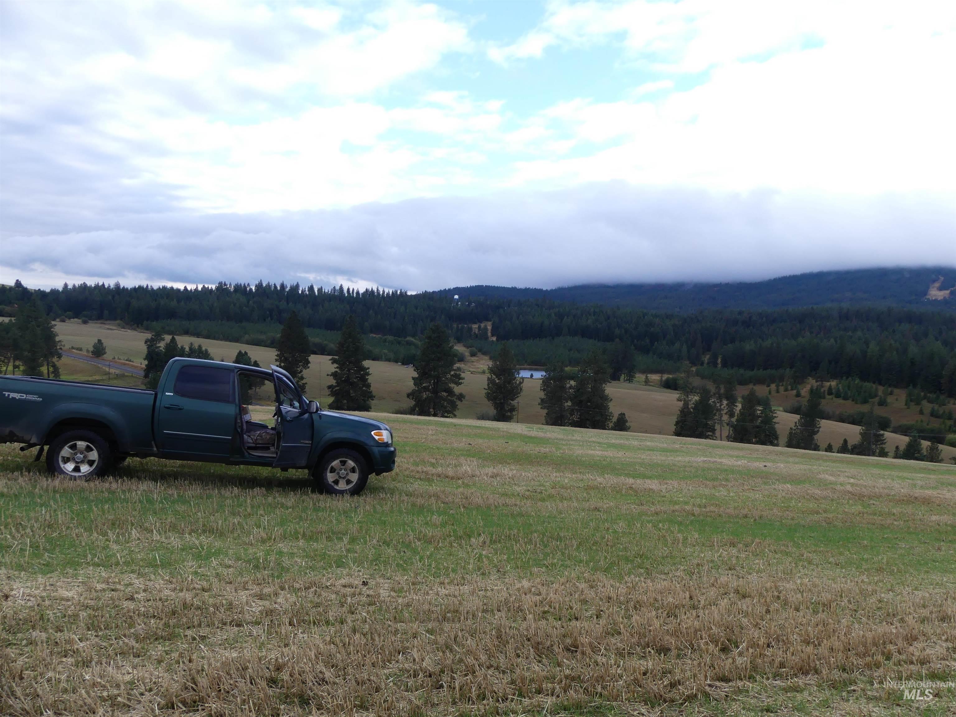 1385 Cottonwood Butte RD, CottonWood, Idaho 83522, Land For Sale, Price $485,000, 99001188