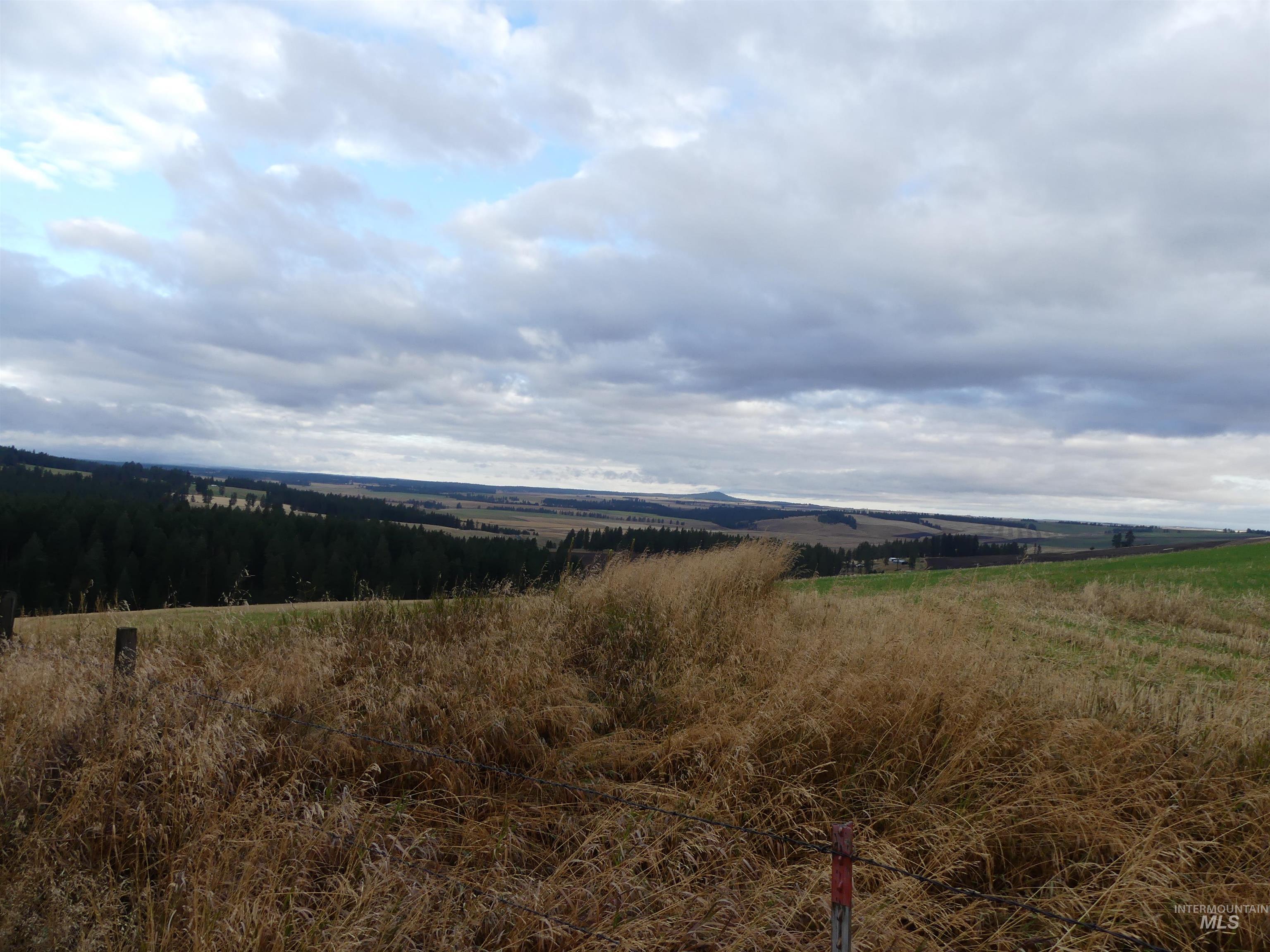 1385 Cottonwood Butte RD, CottonWood, Idaho 83522, Land For Sale, Price $485,000, 99001188
