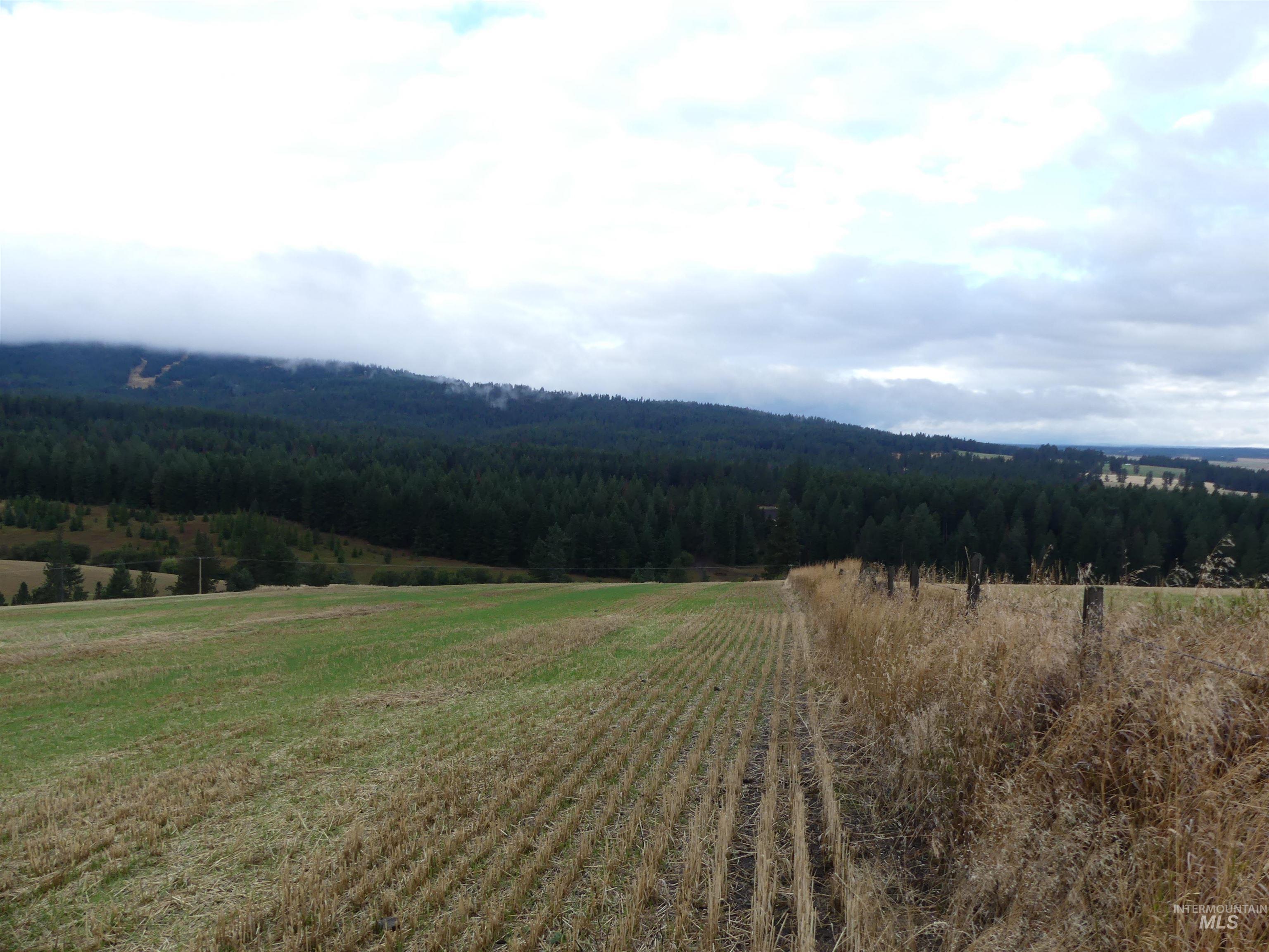 1385 Cottonwood Butte RD, CottonWood, Idaho 83522, Land For Sale, Price $485,000, 99001188