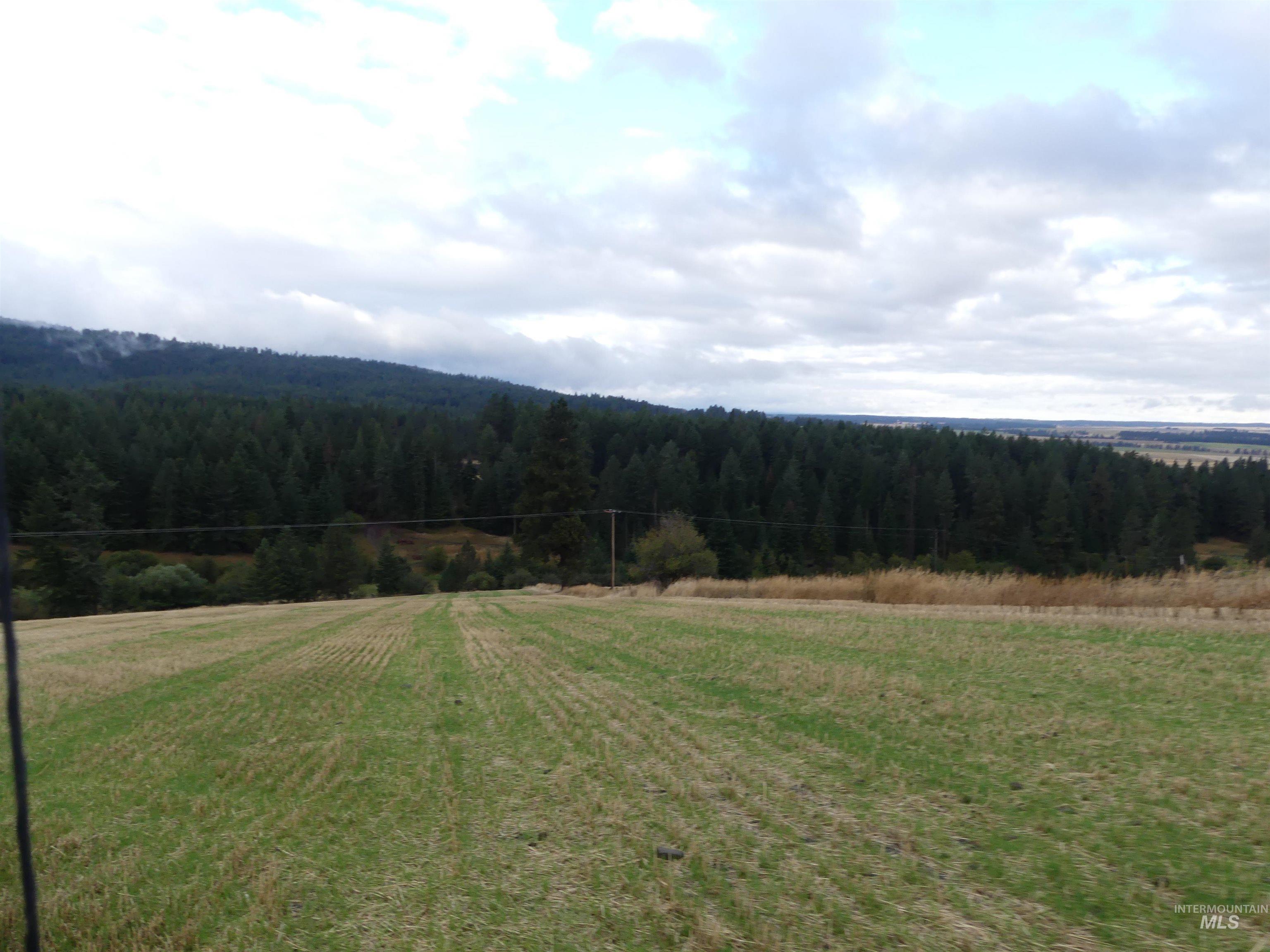 1385 Cottonwood Butte RD, CottonWood, Idaho 83522, Land For Sale, Price $485,000, 99001188