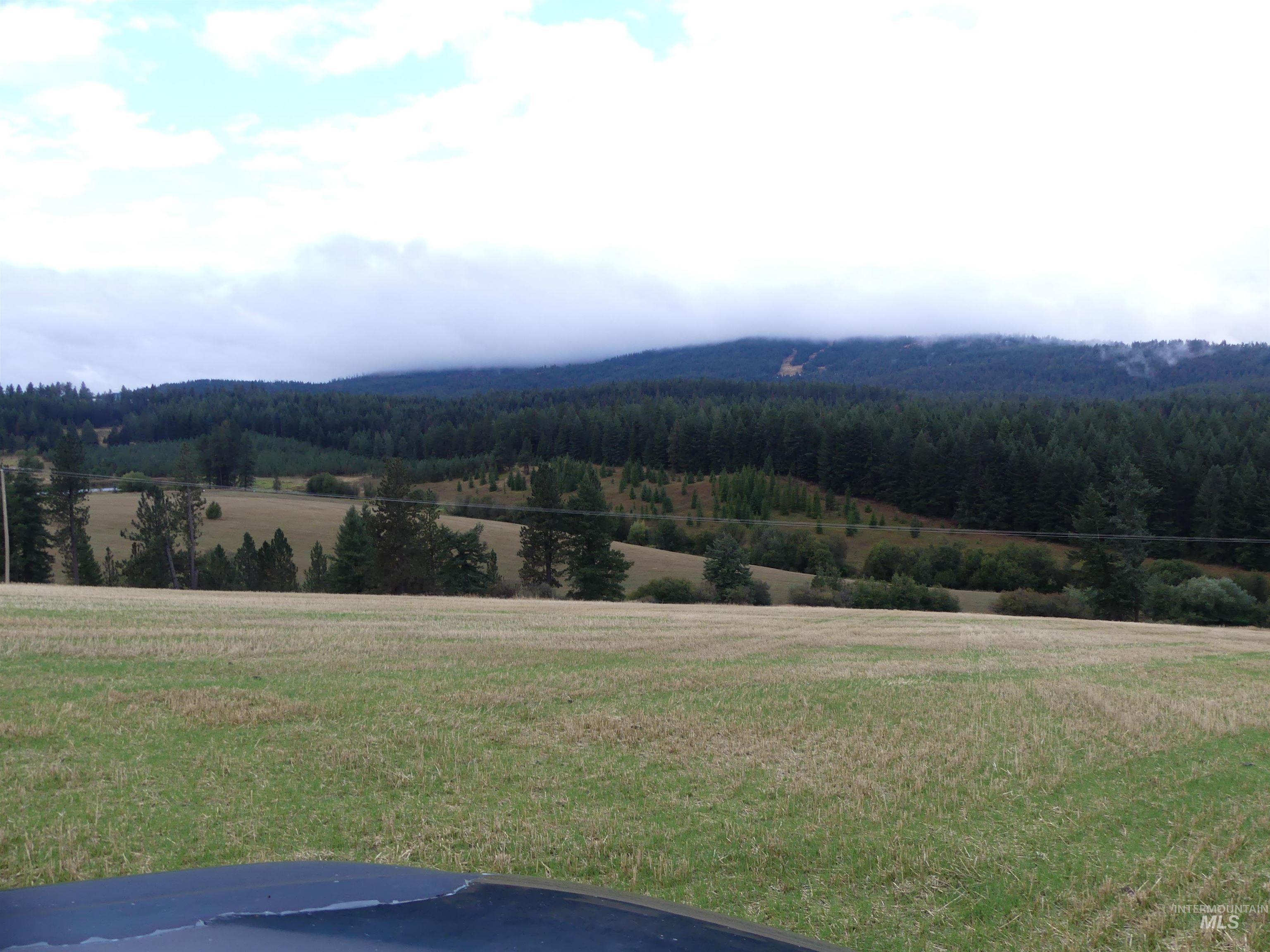1385 Cottonwood Butte RD, CottonWood, Idaho 83522, Land For Sale, Price $485,000, 99001188