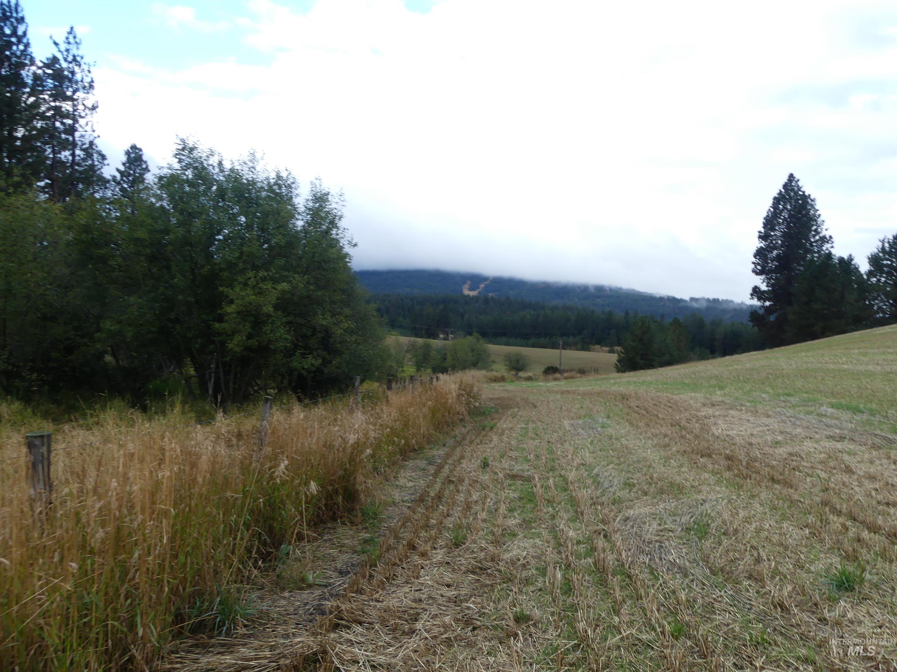 1385 Cottonwood Butte RD, CottonWood, Idaho 83522, Land For Sale, Price $485,000, 99001188