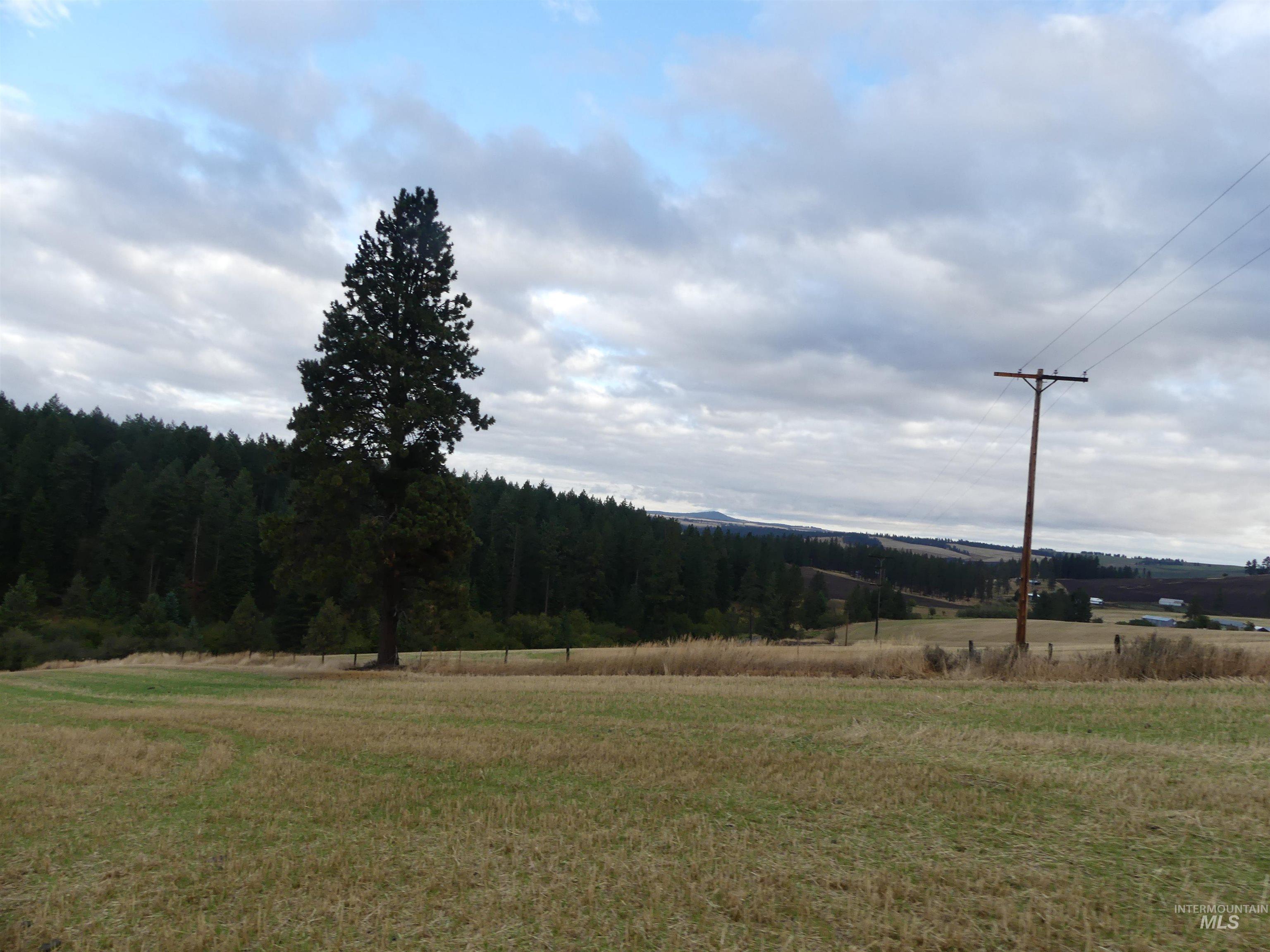 1385 Cottonwood Butte RD, CottonWood, Idaho 83522, Land For Sale, Price $485,000, 99001188