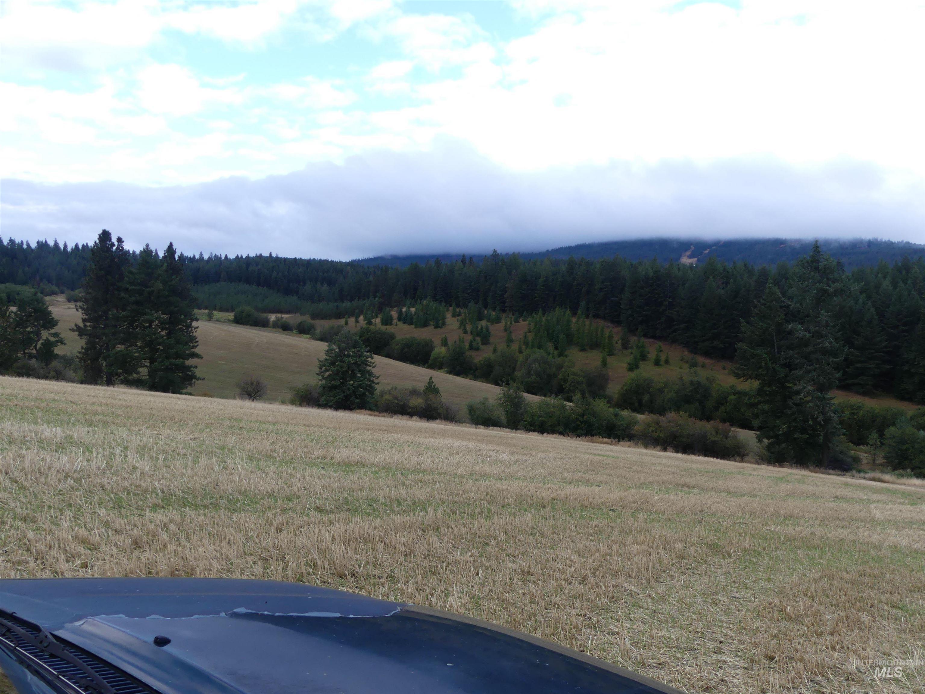 1385 Cottonwood Butte RD, CottonWood, Idaho 83522, Land For Sale, Price $485,000, 99001188