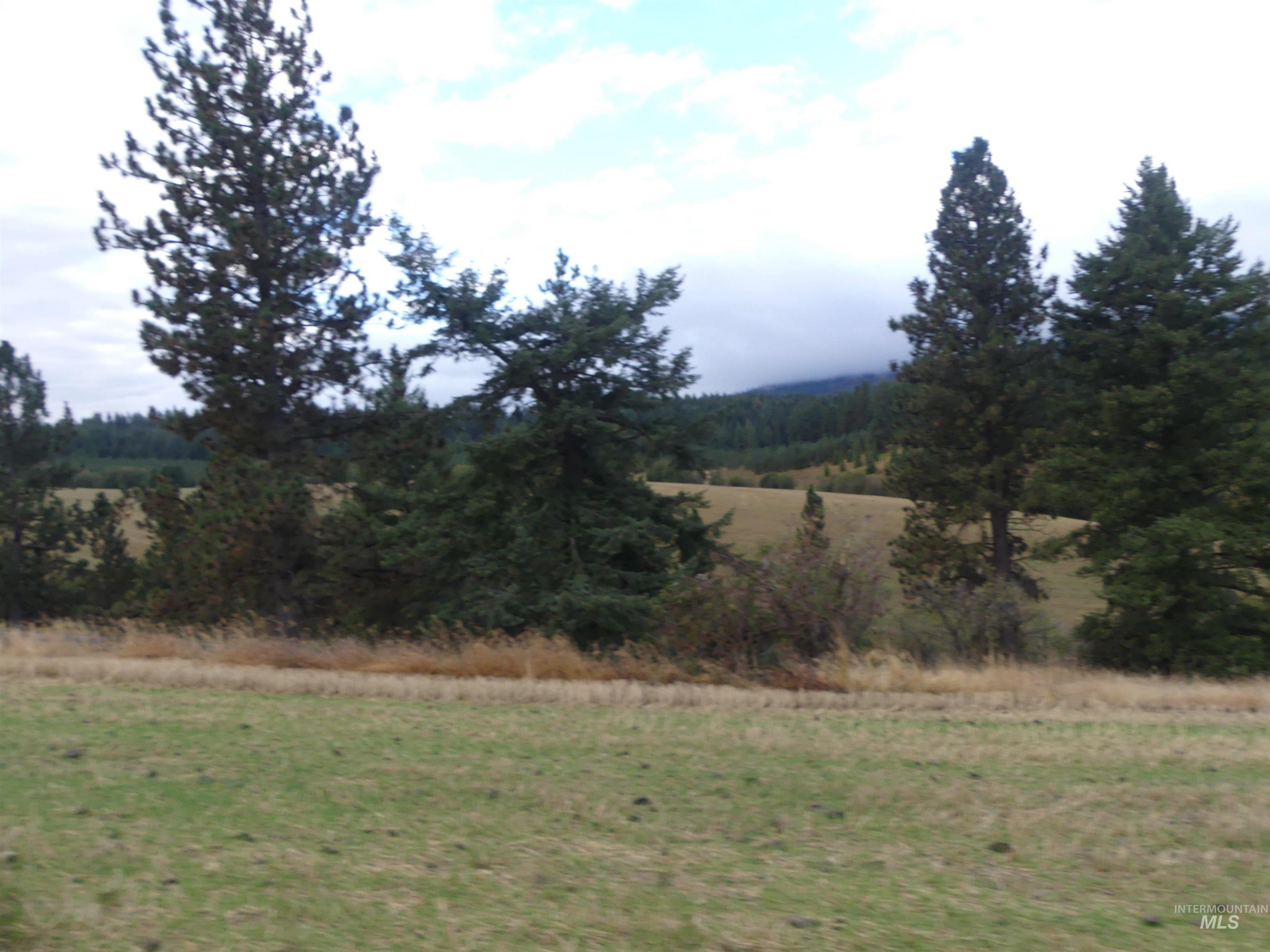 1385 Cottonwood Butte RD, CottonWood, Idaho 83522, Land For Sale, Price $485,000, 99001188