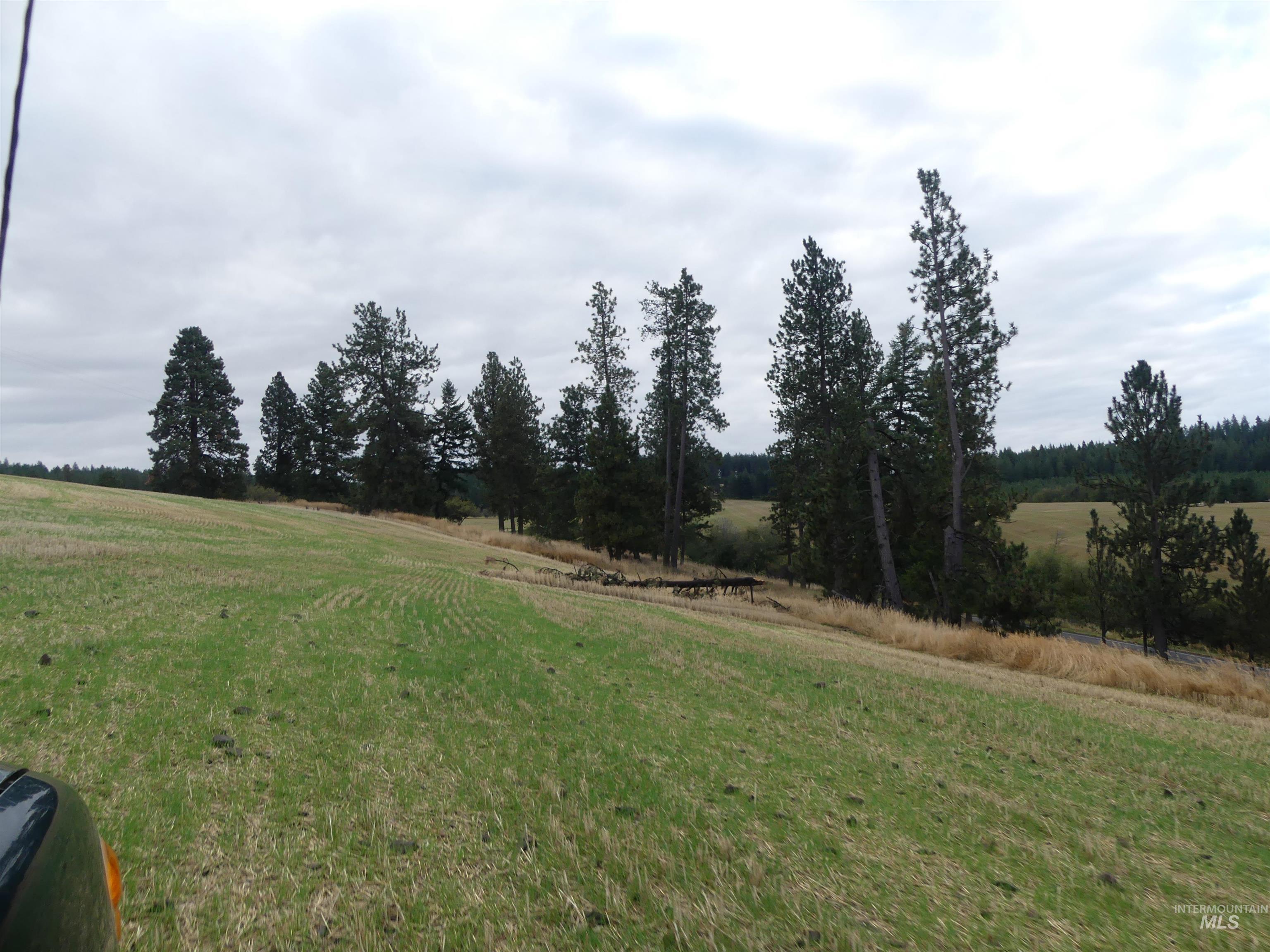 1385 Cottonwood Butte RD, CottonWood, Idaho 83522, Land For Sale, Price $485,000, 99001188