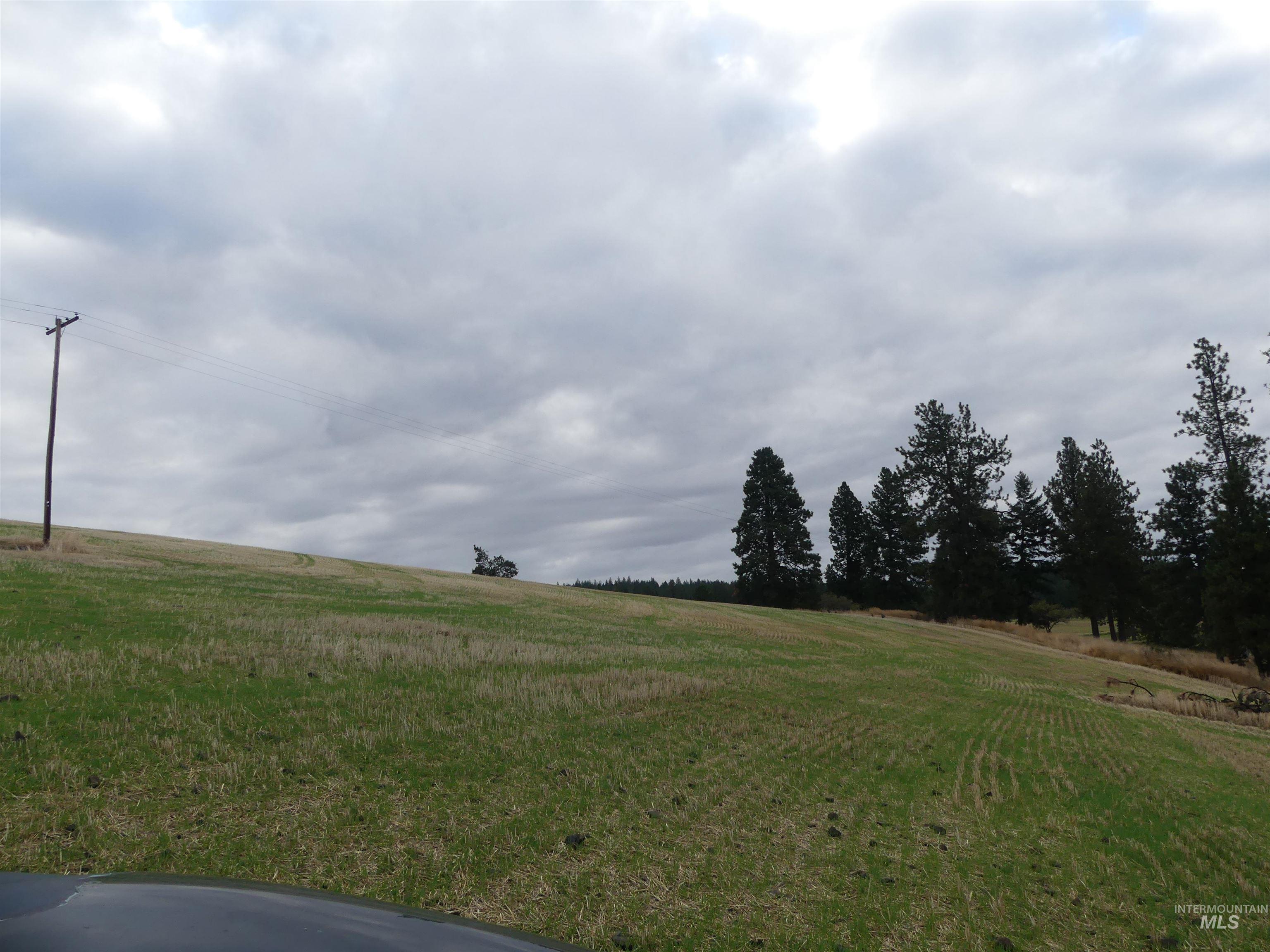 1385 Cottonwood Butte RD, CottonWood, Idaho 83522, Land For Sale, Price $485,000, 99001188