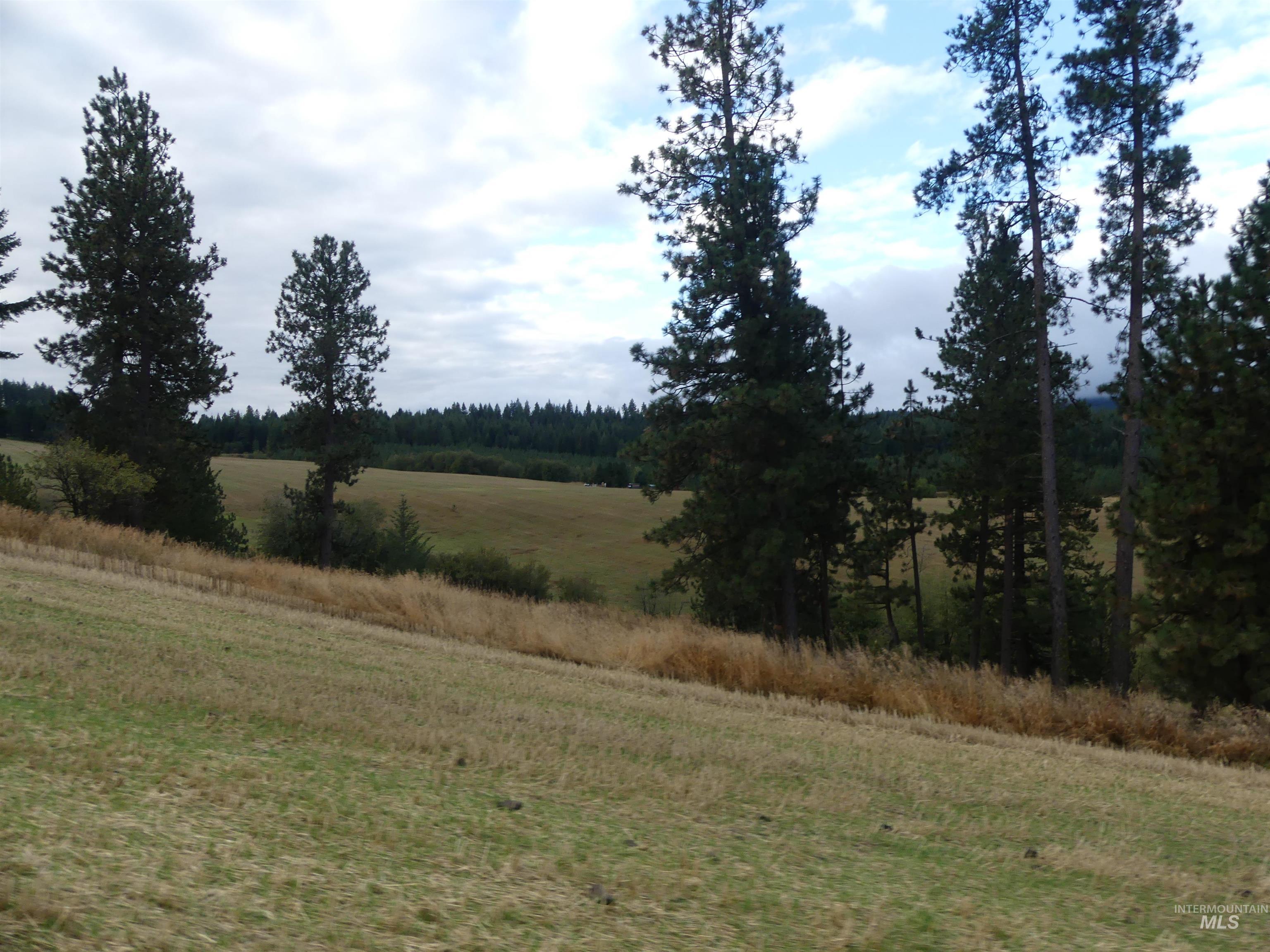 1385 Cottonwood Butte RD, CottonWood, Idaho 83522, Land For Sale, Price $485,000, 99001188