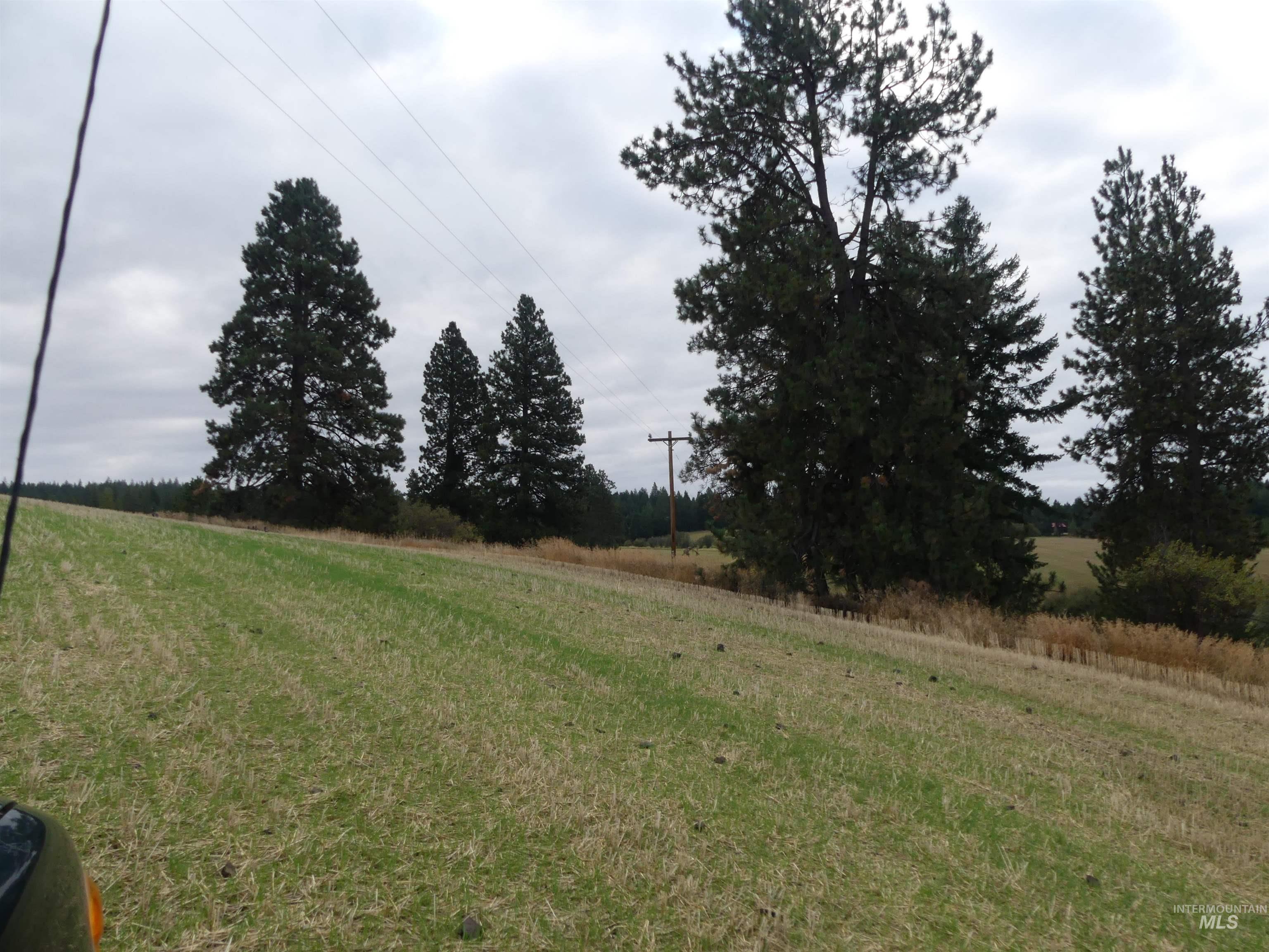 1385 Cottonwood Butte RD, CottonWood, Idaho 83522, Land For Sale, Price $485,000, 99001188