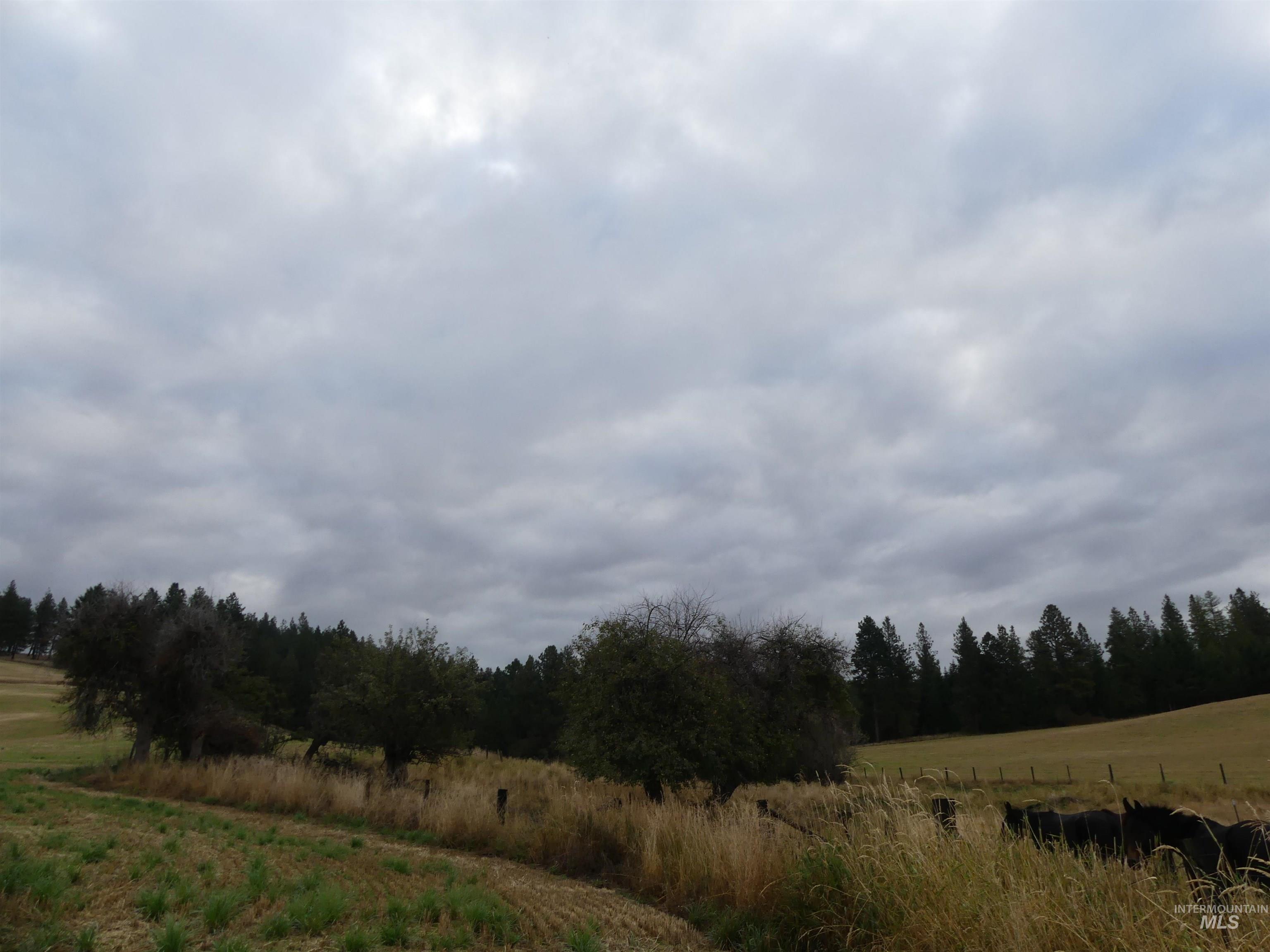 1385 Cottonwood Butte RD, CottonWood, Idaho 83522, Land For Sale, Price $485,000, 99001188
