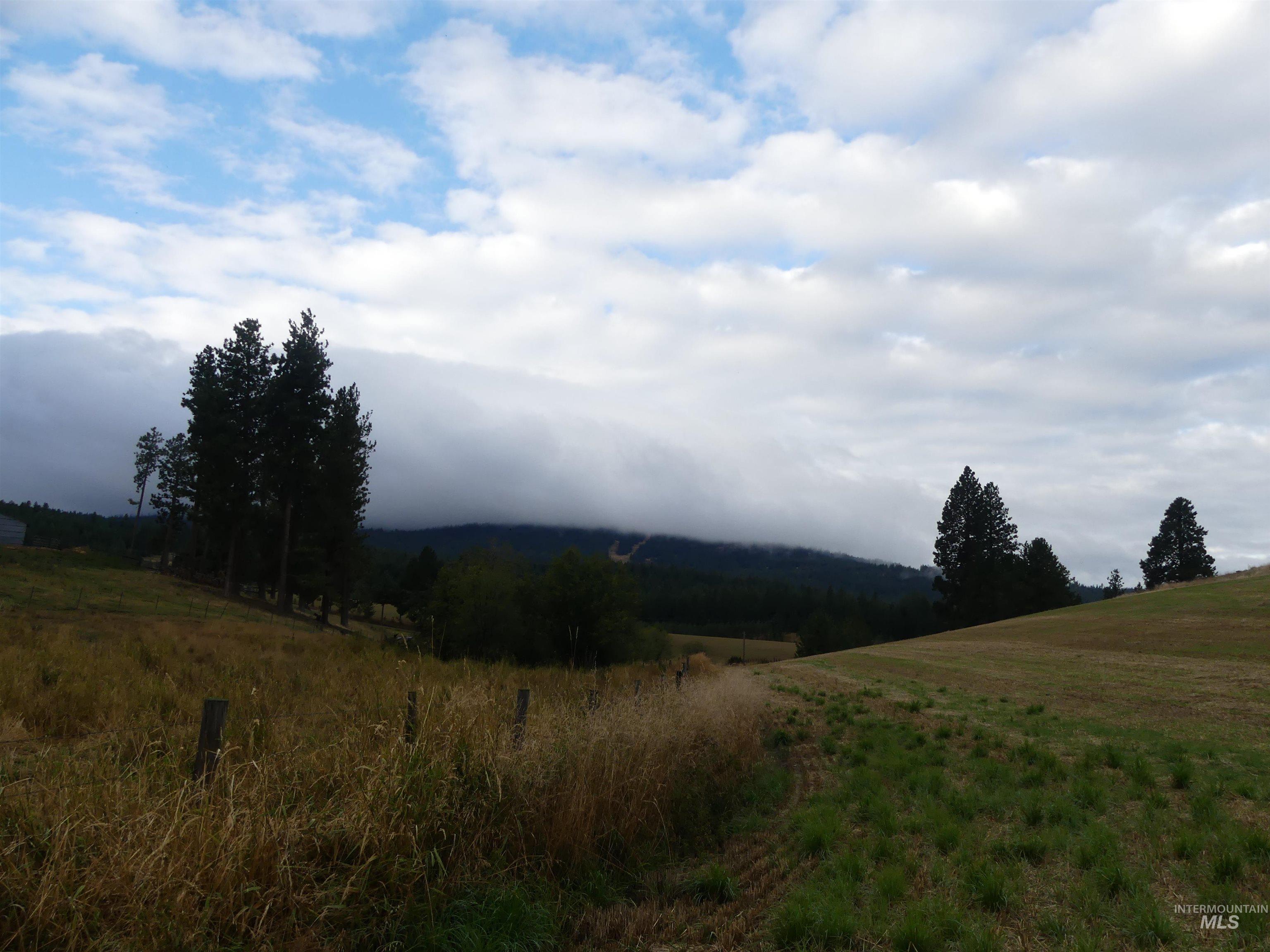 1385 Cottonwood Butte RD, CottonWood, Idaho 83522, Land For Sale, Price $485,000, 99001188