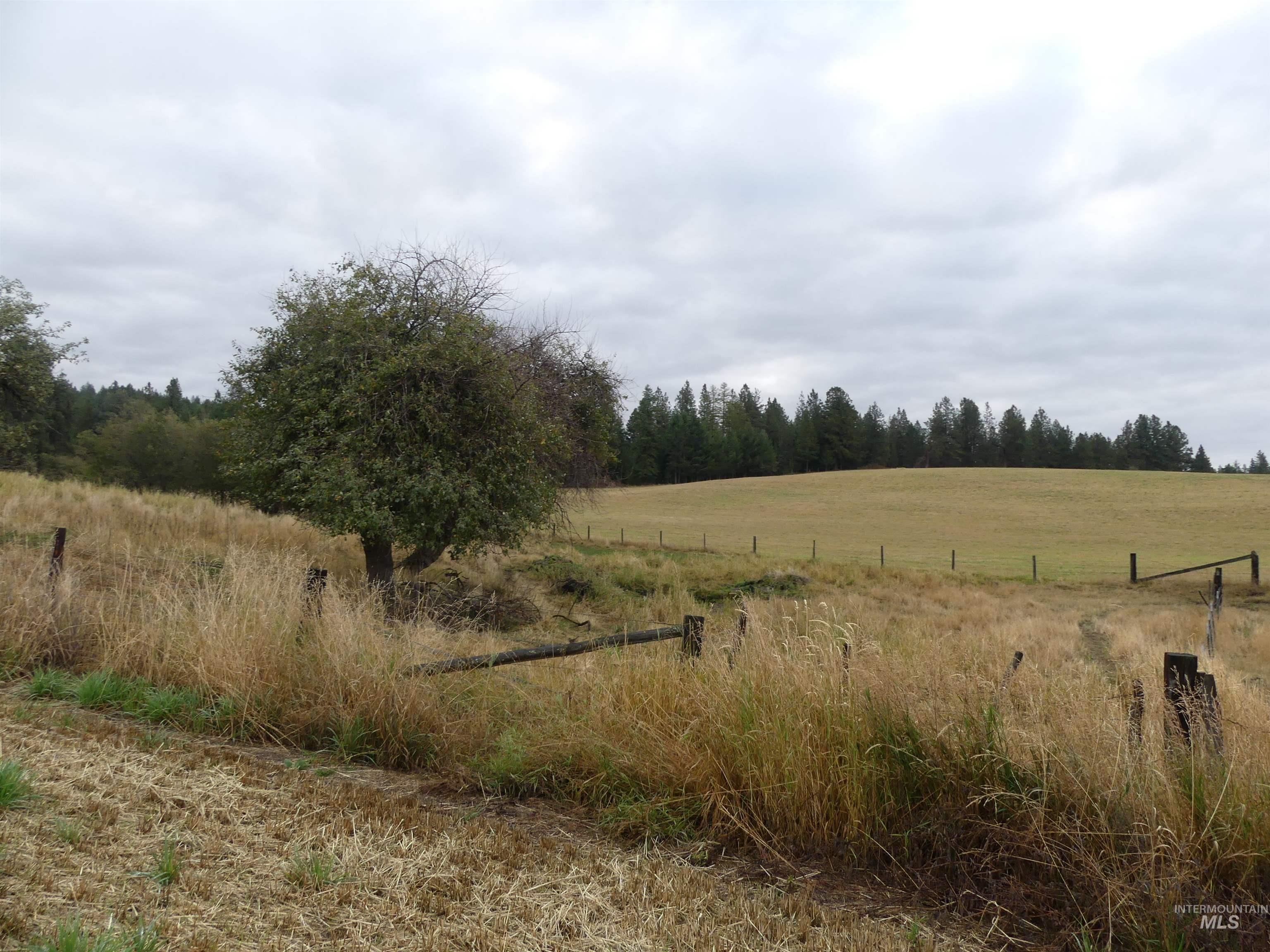 1385 Cottonwood Butte RD, CottonWood, Idaho 83522, Land For Sale, Price $485,000, 99001188