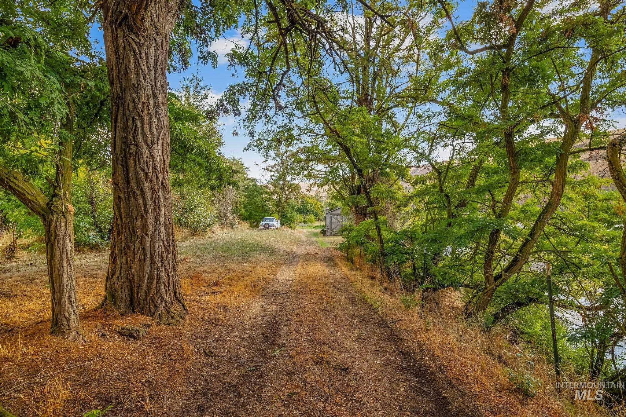22116 Highway 12, Juliaetta, Idaho 83535, Land For Sale, Price $425,000, 99001195
